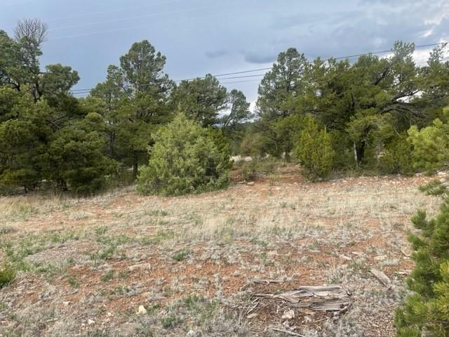Property Image for Lot 2 Tract 1b Coyote Chase