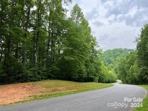 Property Image for Tbd Round Mountain Parkway