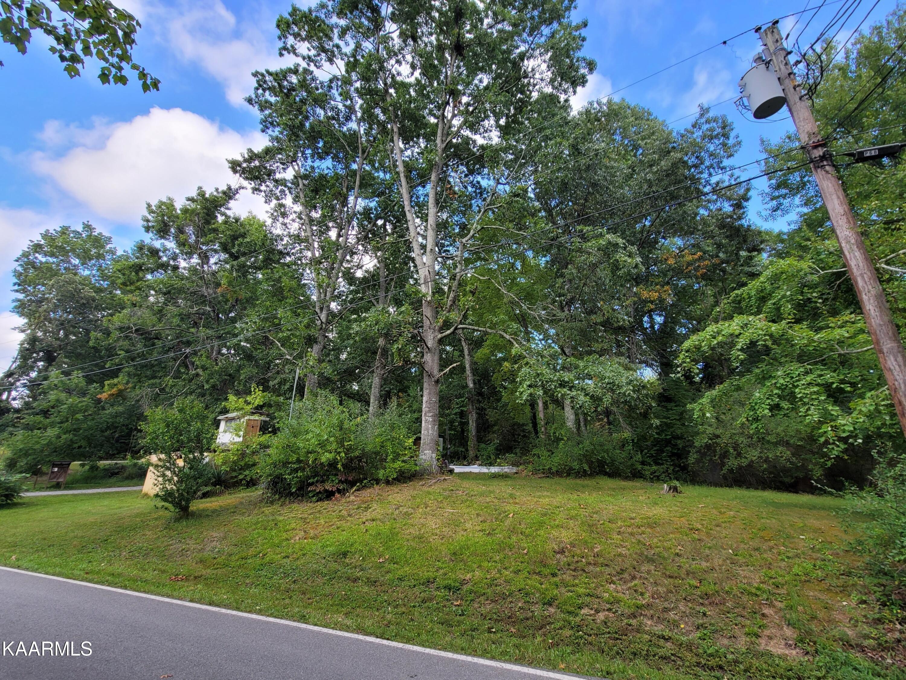 print property image
