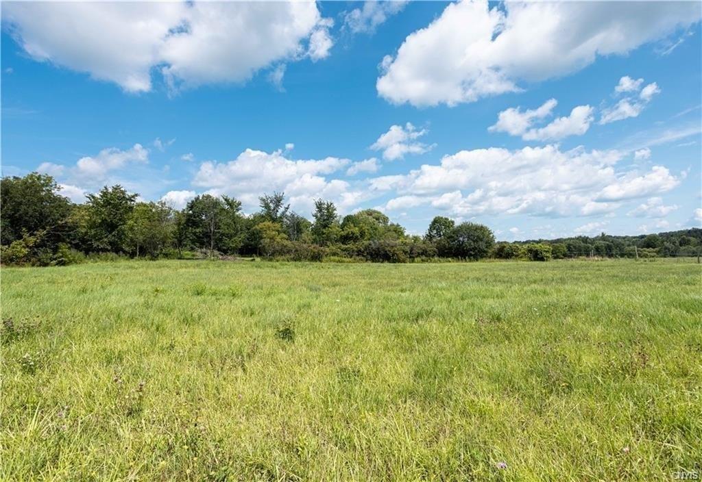 print property image