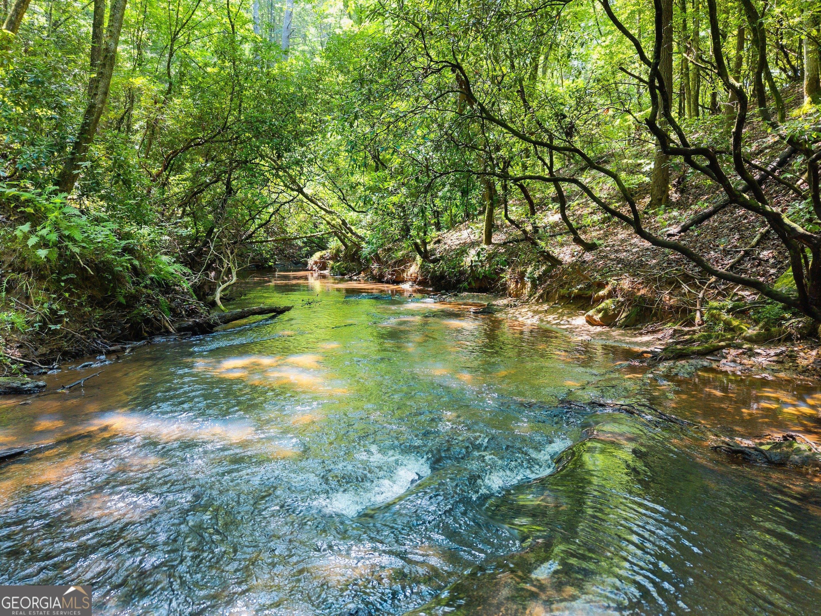 print property image