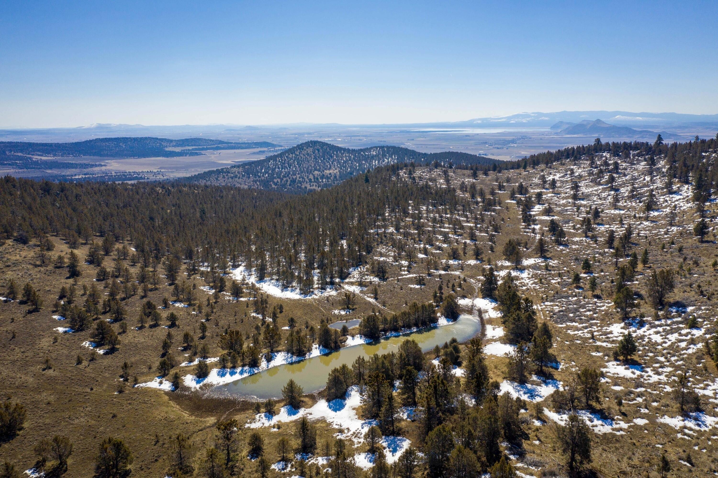 print property image