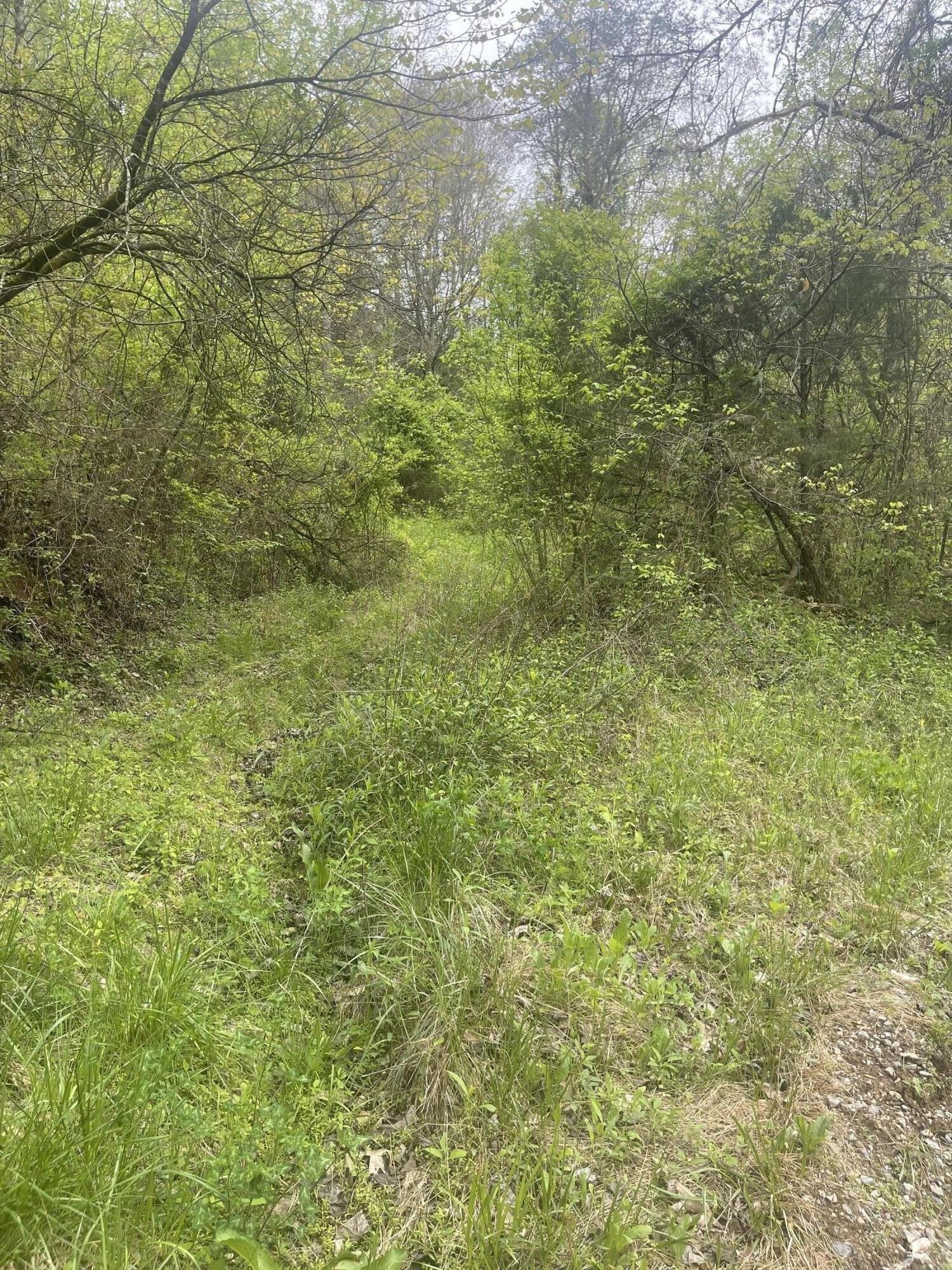 Property Image for Lot 6 Talley road