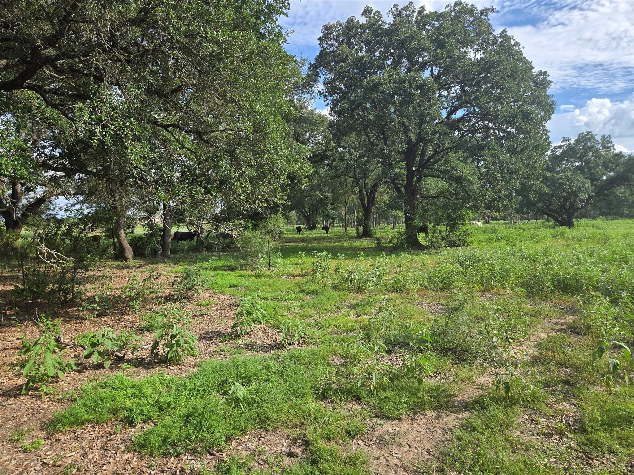 Property Image for 0 Sh 304 Rd