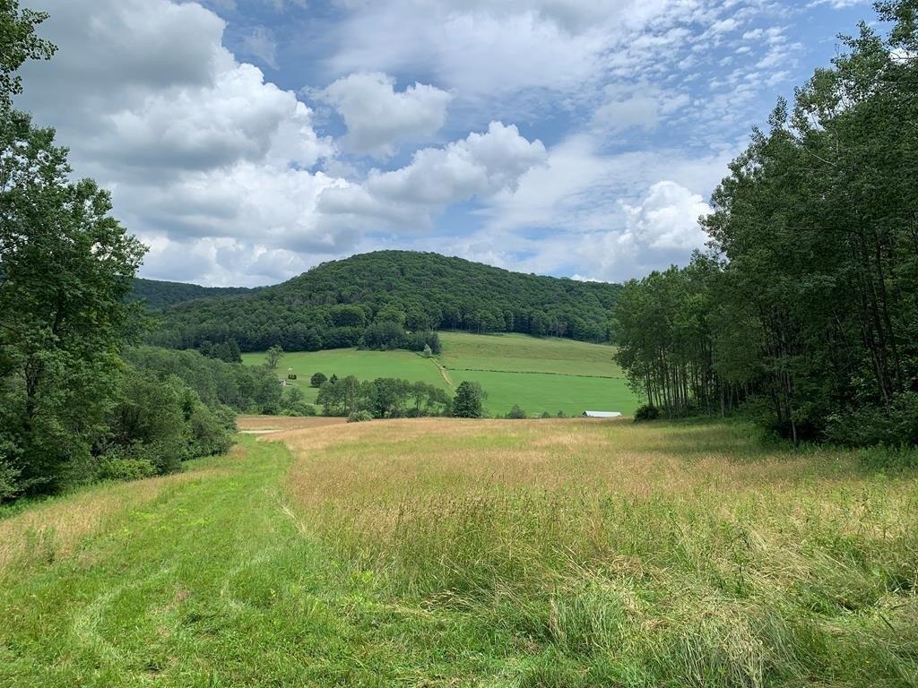Port Allegany Real Estate Find Houses & Homes for Sale in Port