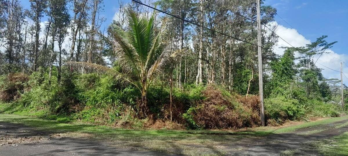 Property Image for PUNA RD Lot #: 583