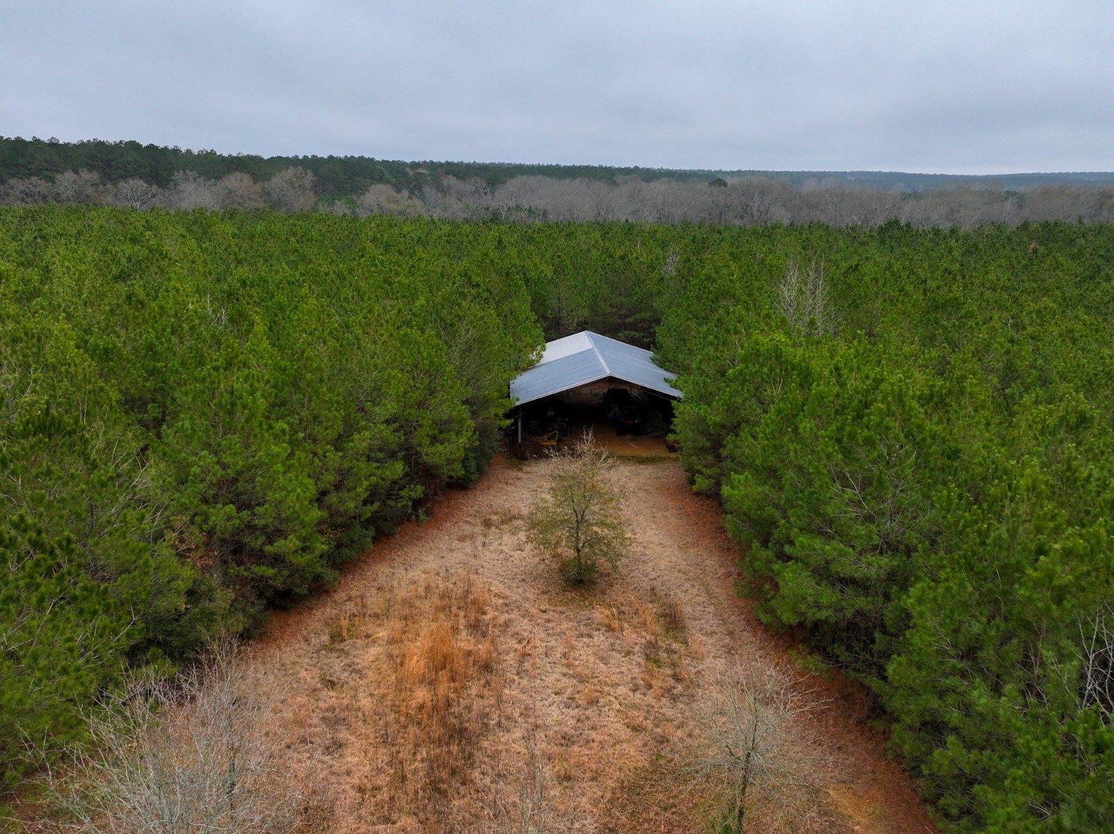 print property image