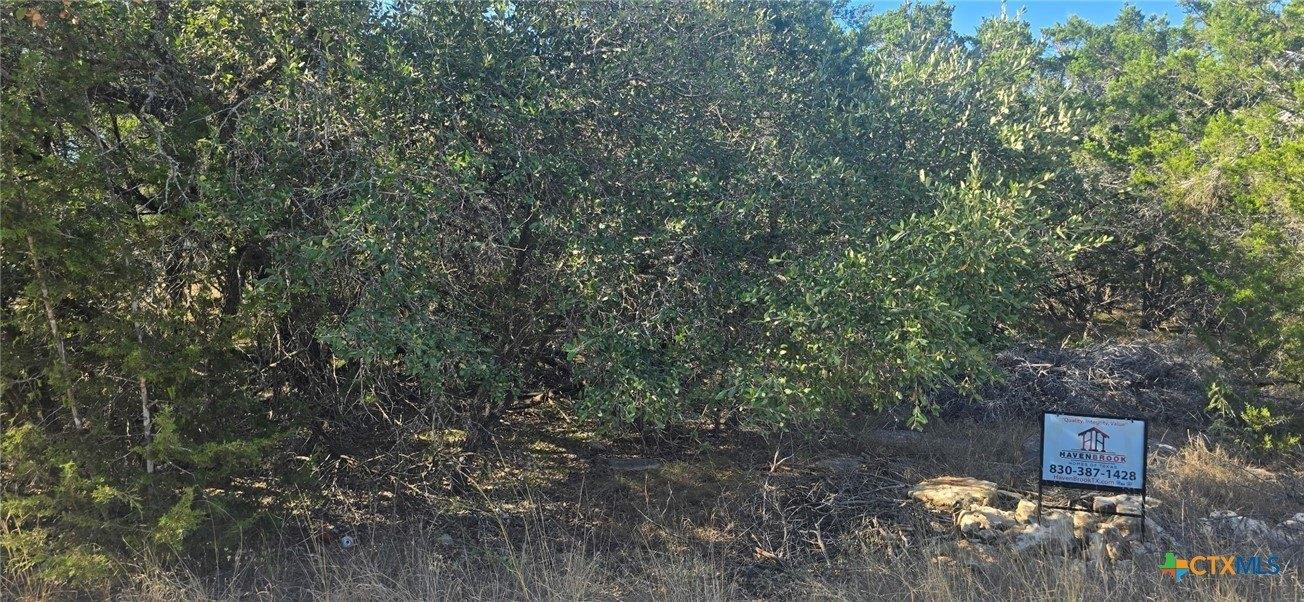 print property image