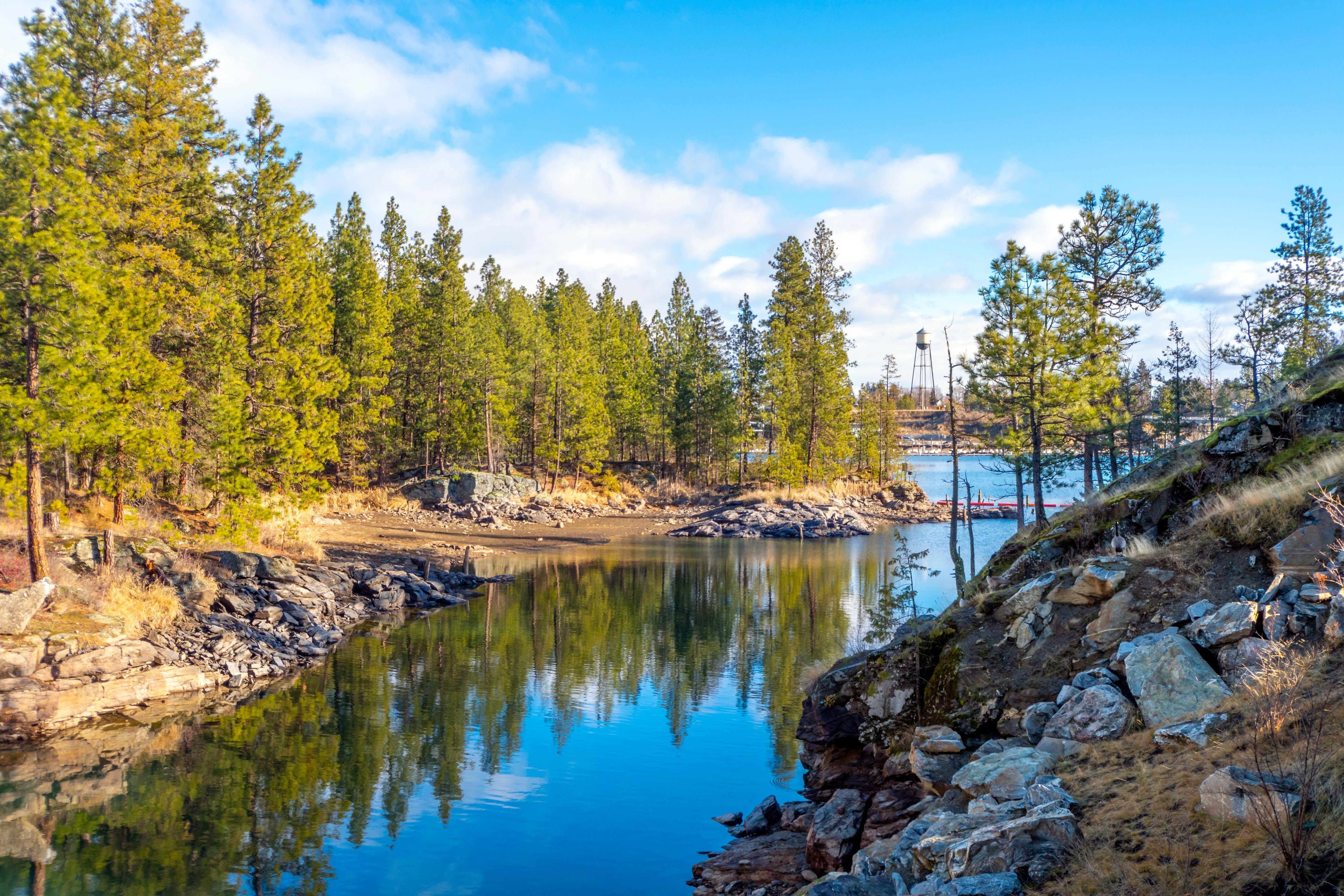 print property image