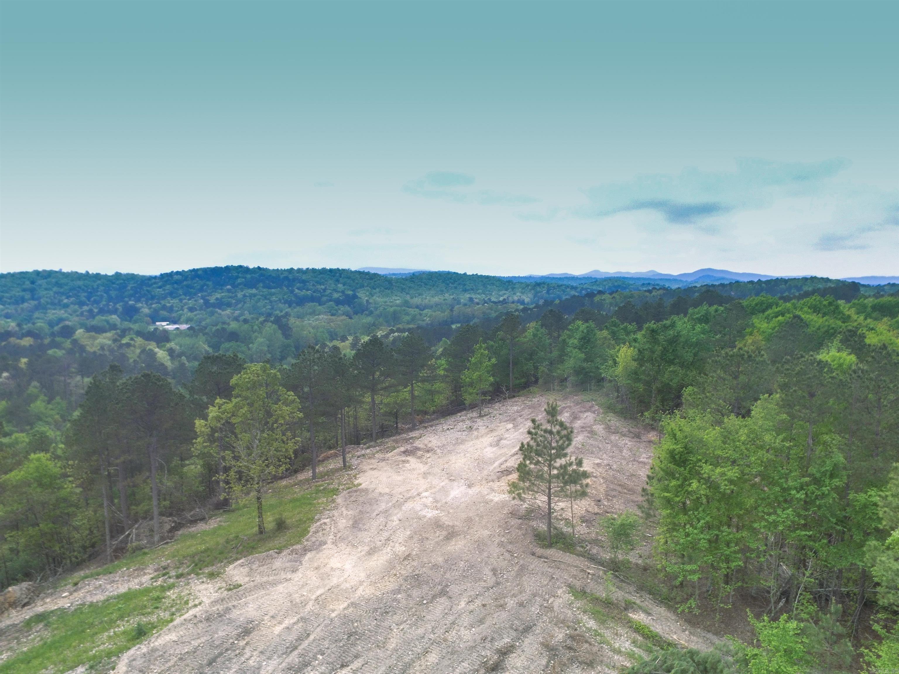 Property Image for Lot 15 Polk Road 617