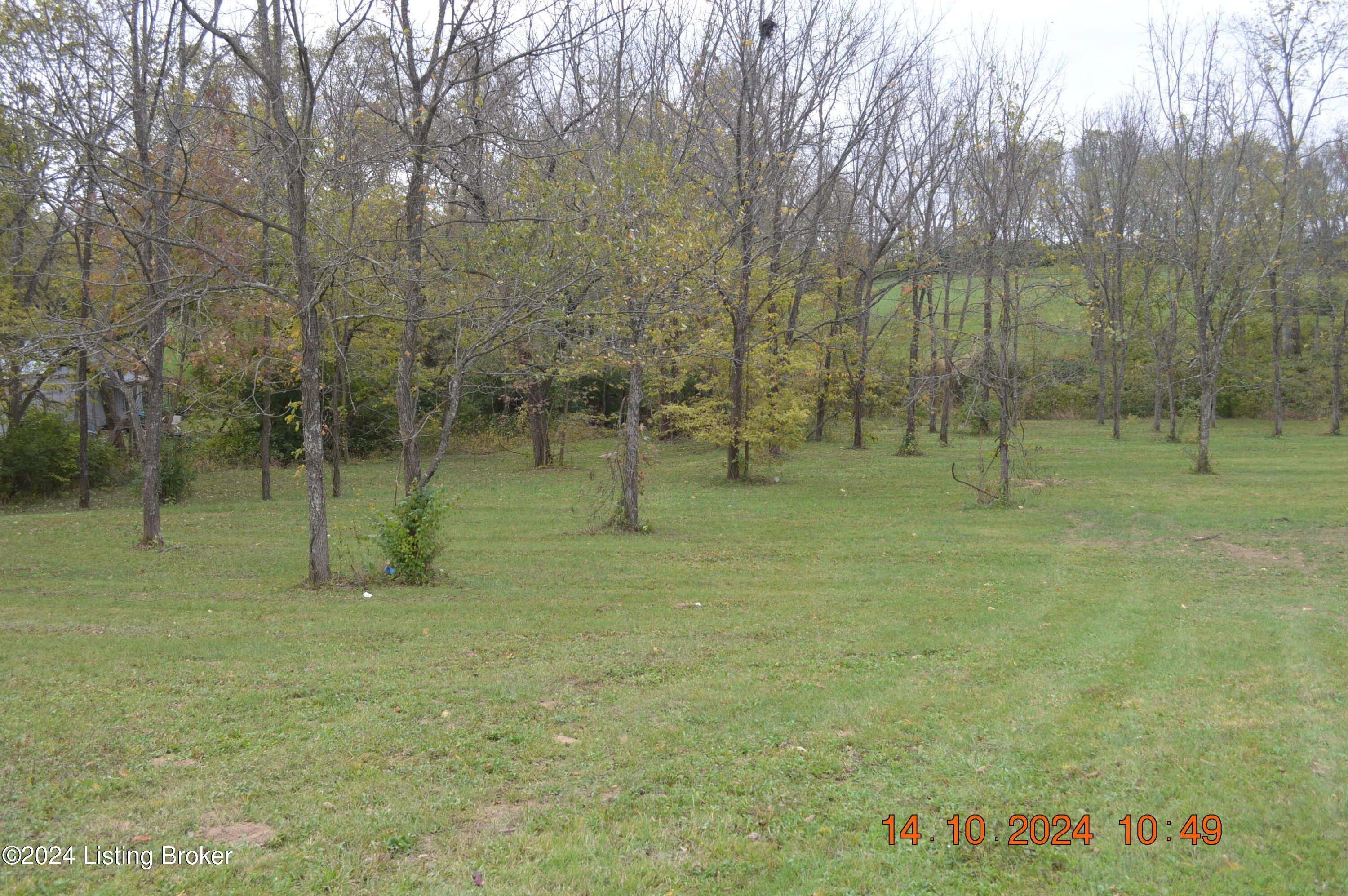 print property image