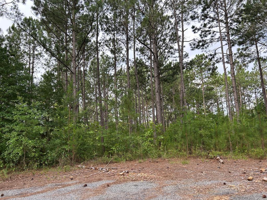 Property Image for Lot 12 Whispering Pines Dr