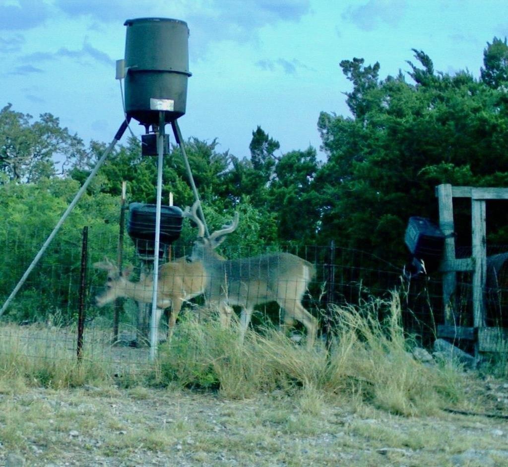 print property image