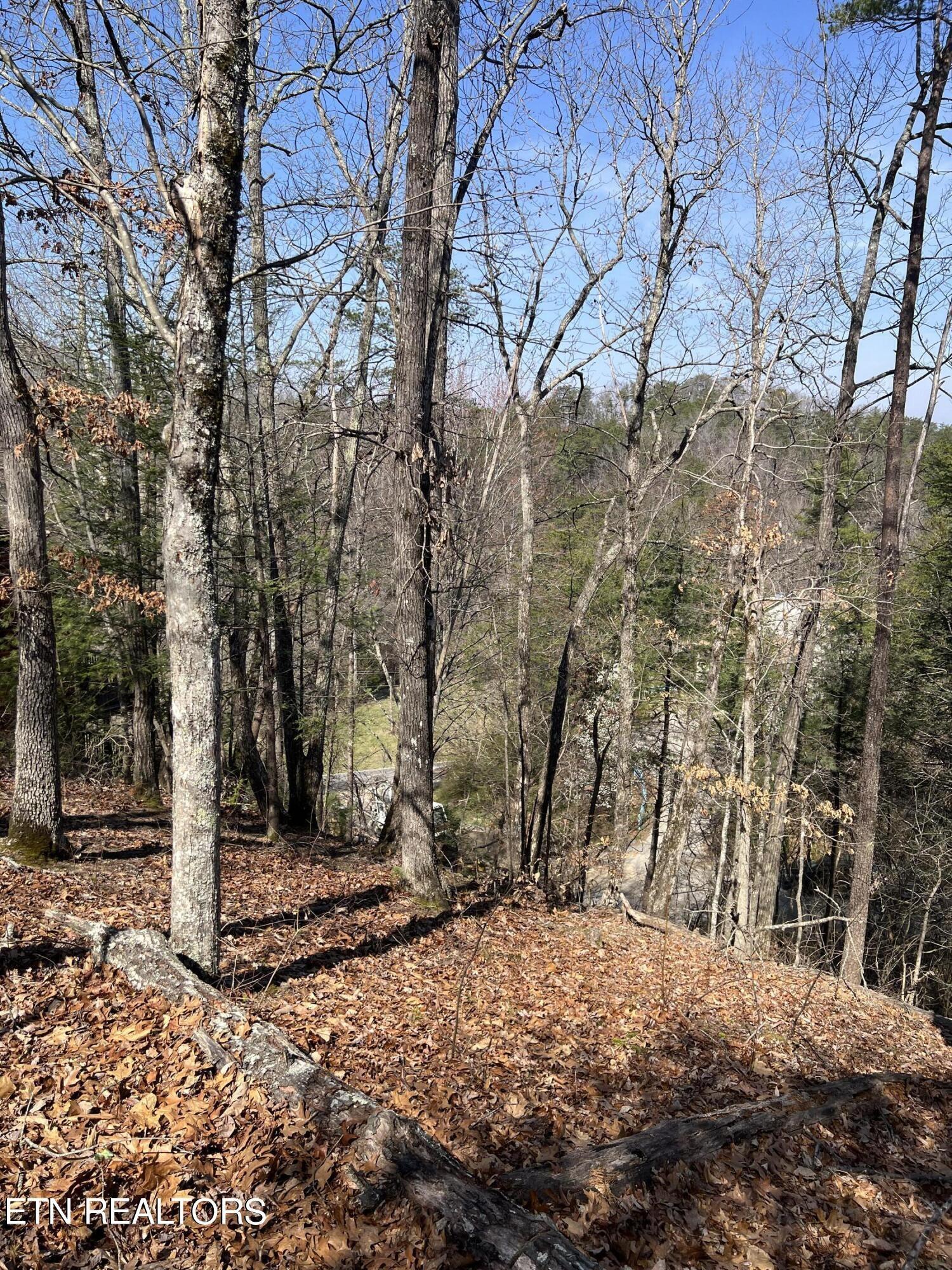 Property Image for Lot 91 Chickasaw Gap Way