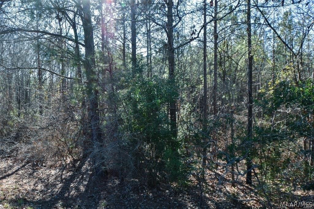 Property Image for 0 County Road 57