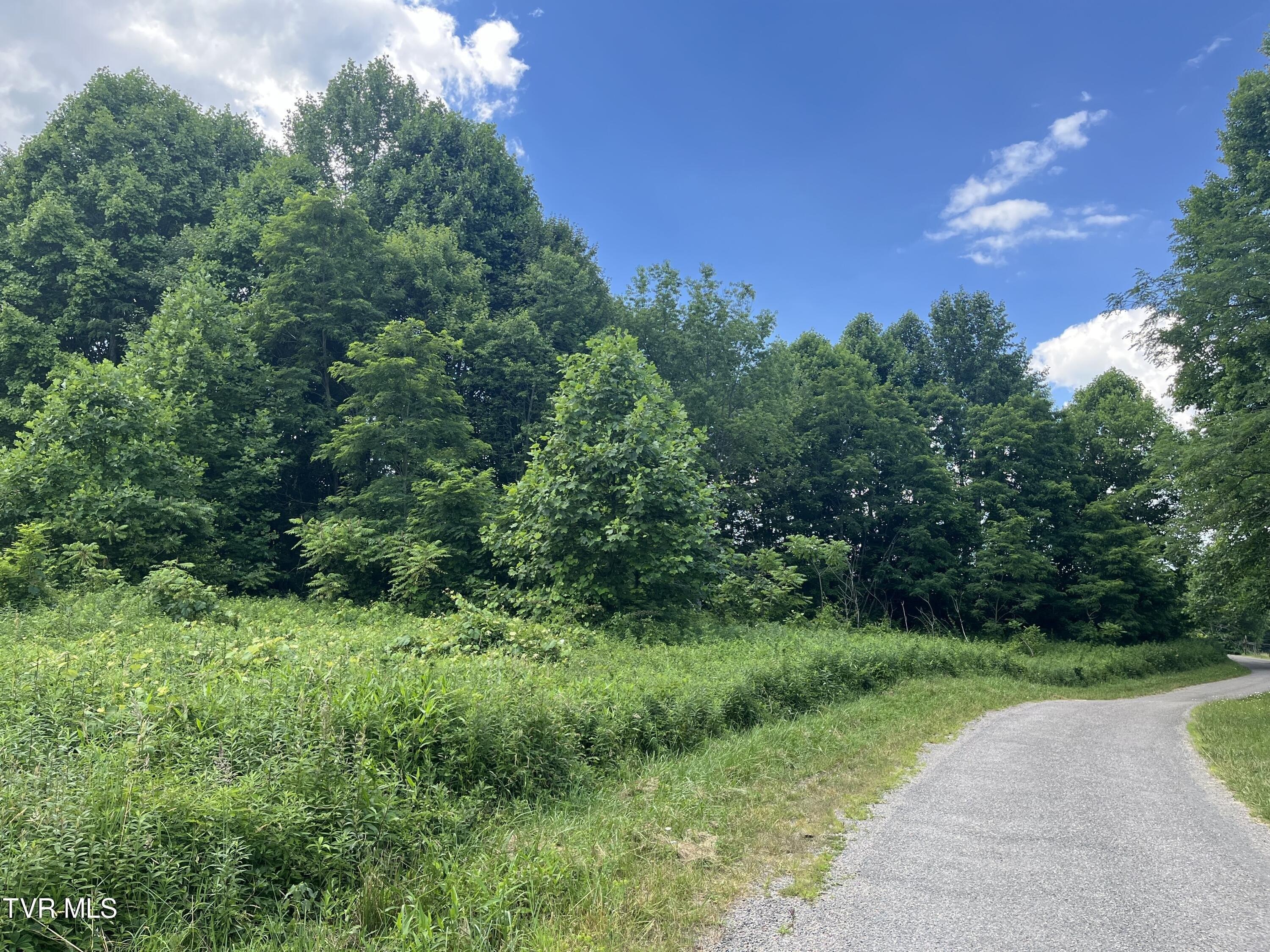 Shady Valley Real Estate Find Houses & Homes for Sale in Shady Valley, TN