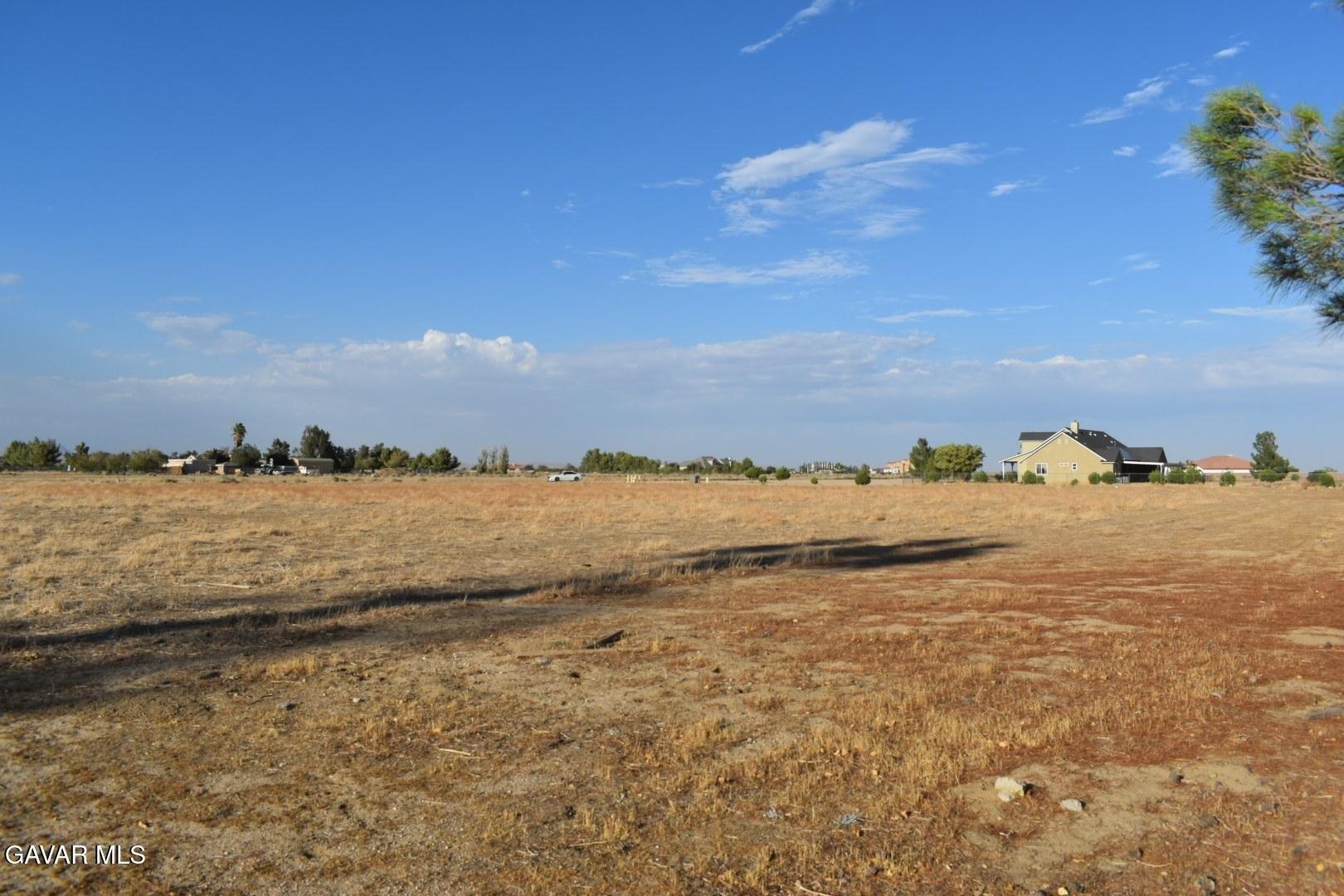 print property image