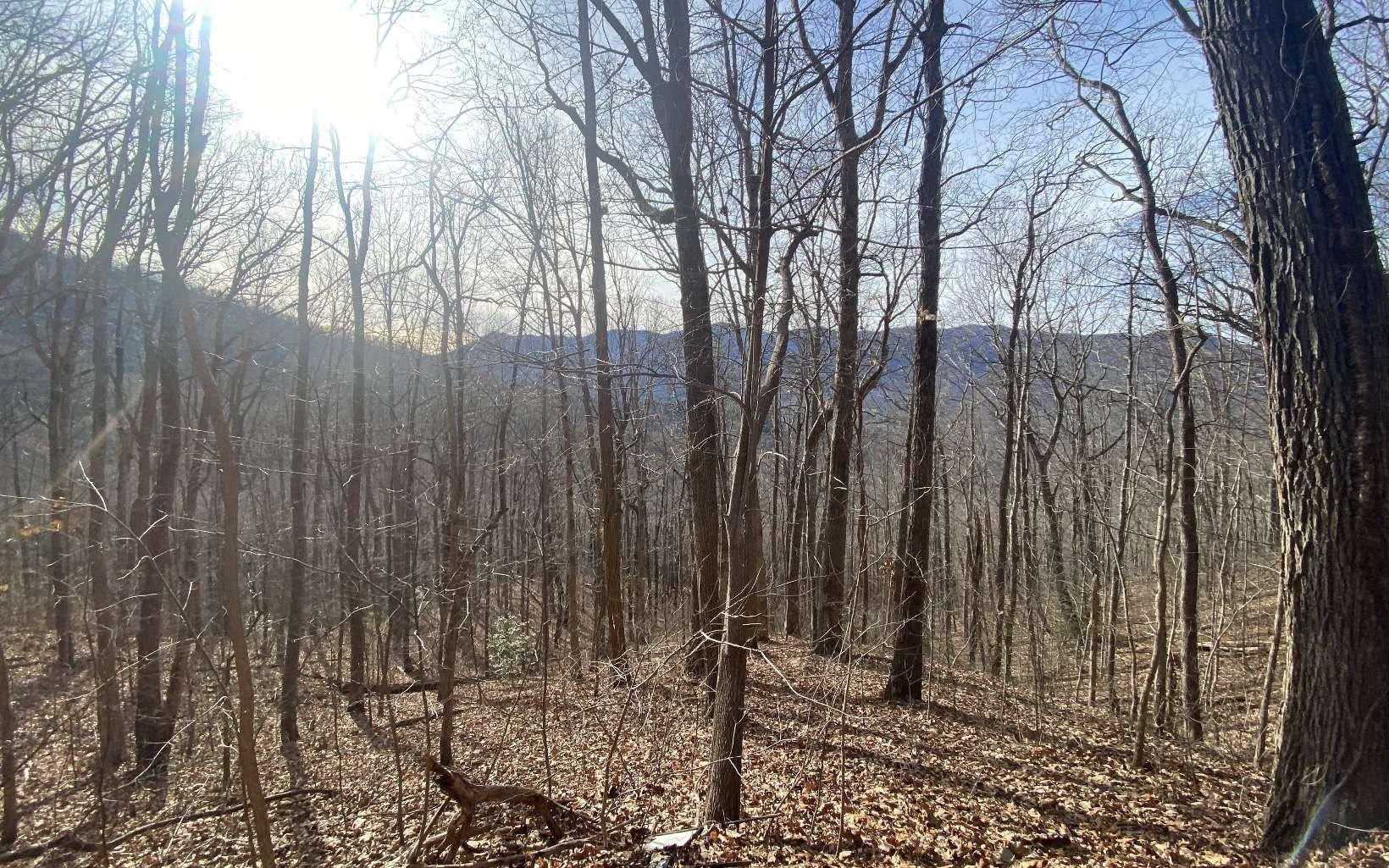 print property image