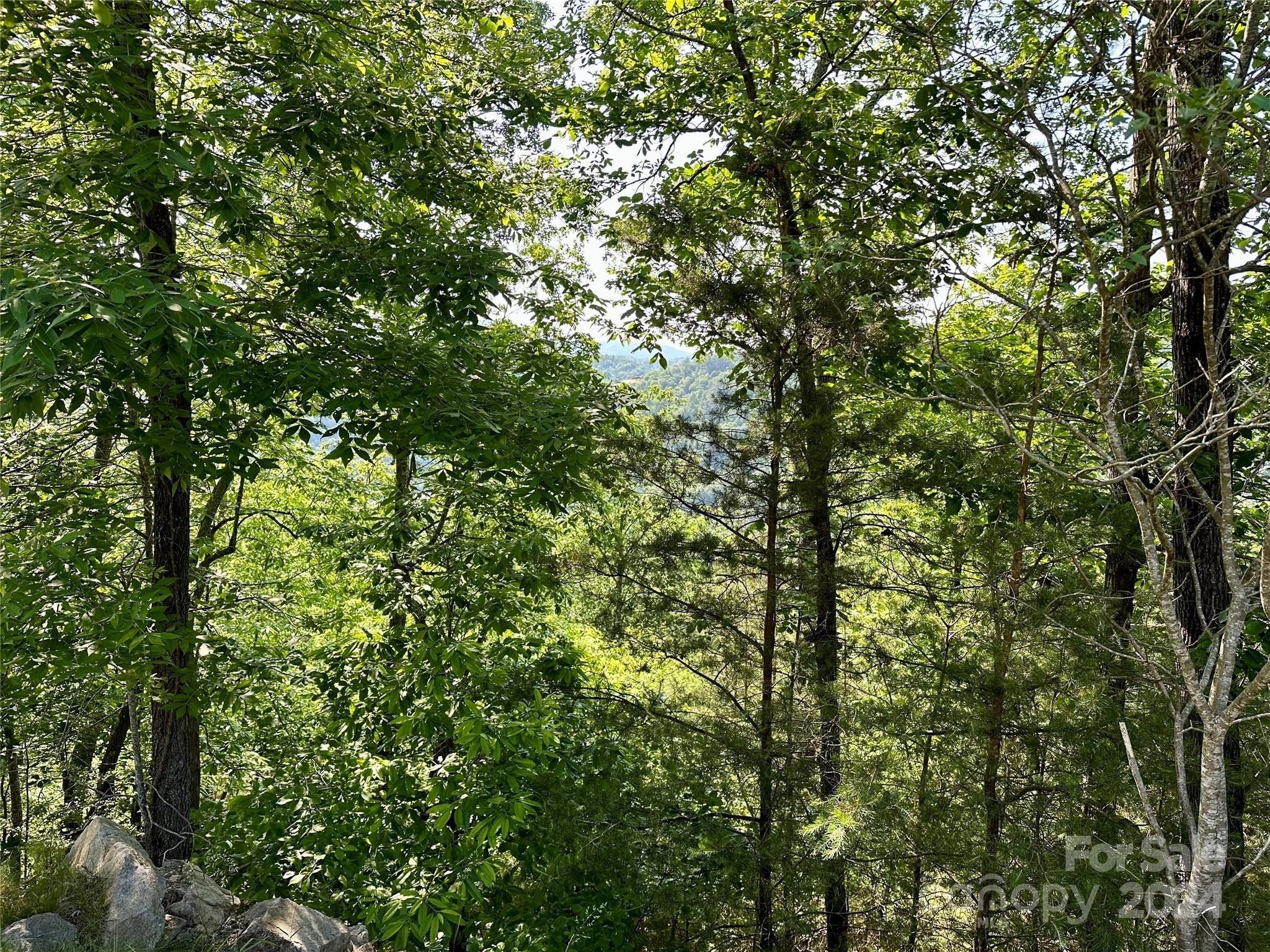 print property image