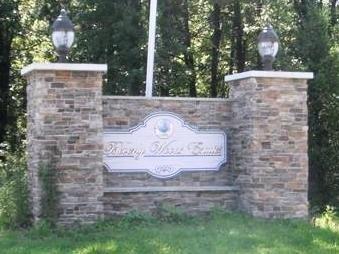 print property image