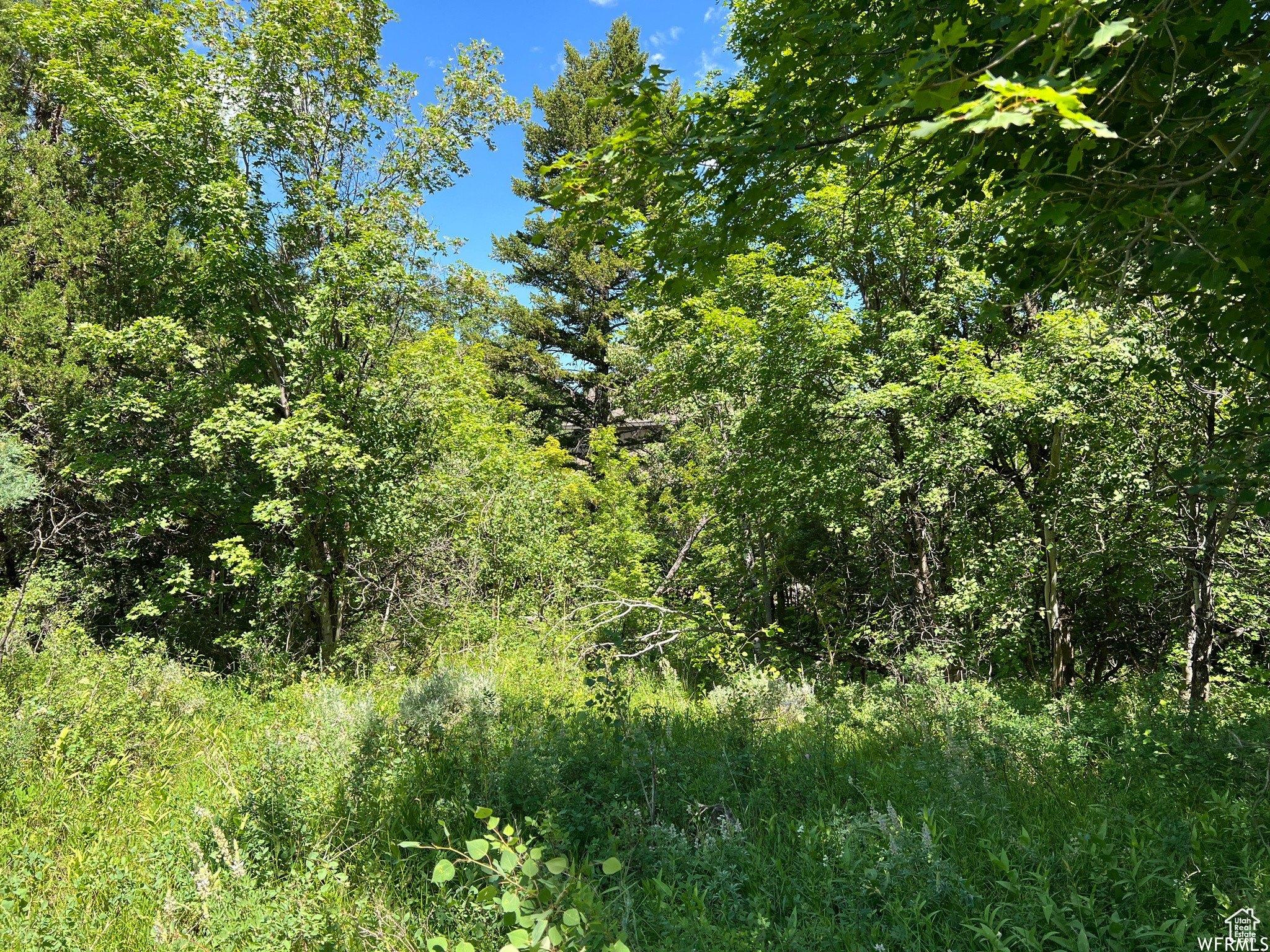 print property image