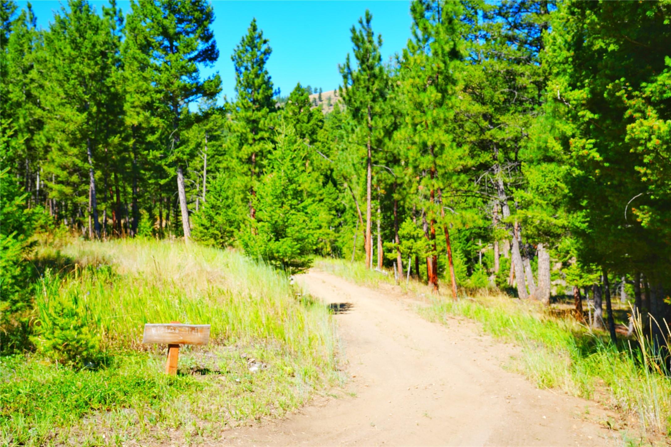 Property Image for Tract 2b Grizzly Gulch Drive