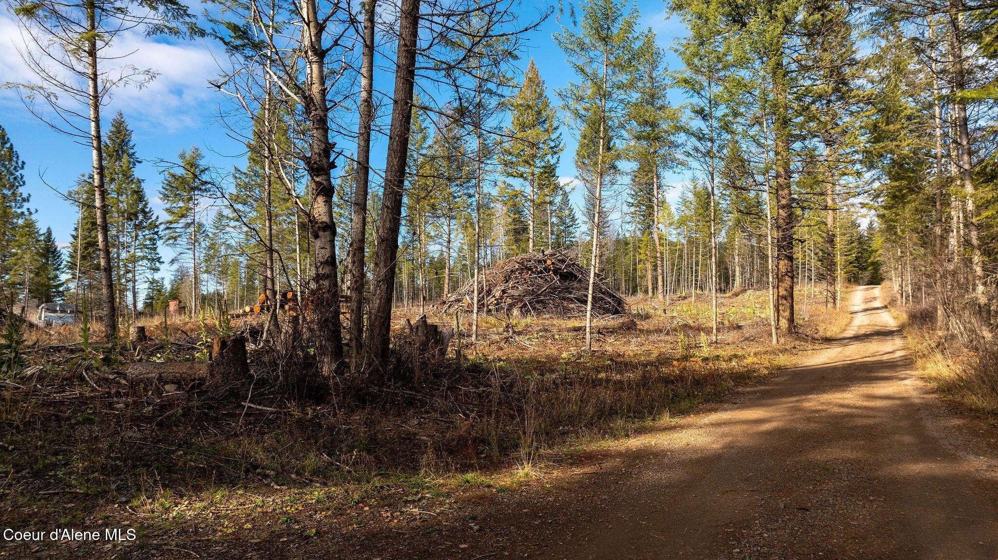 print property image