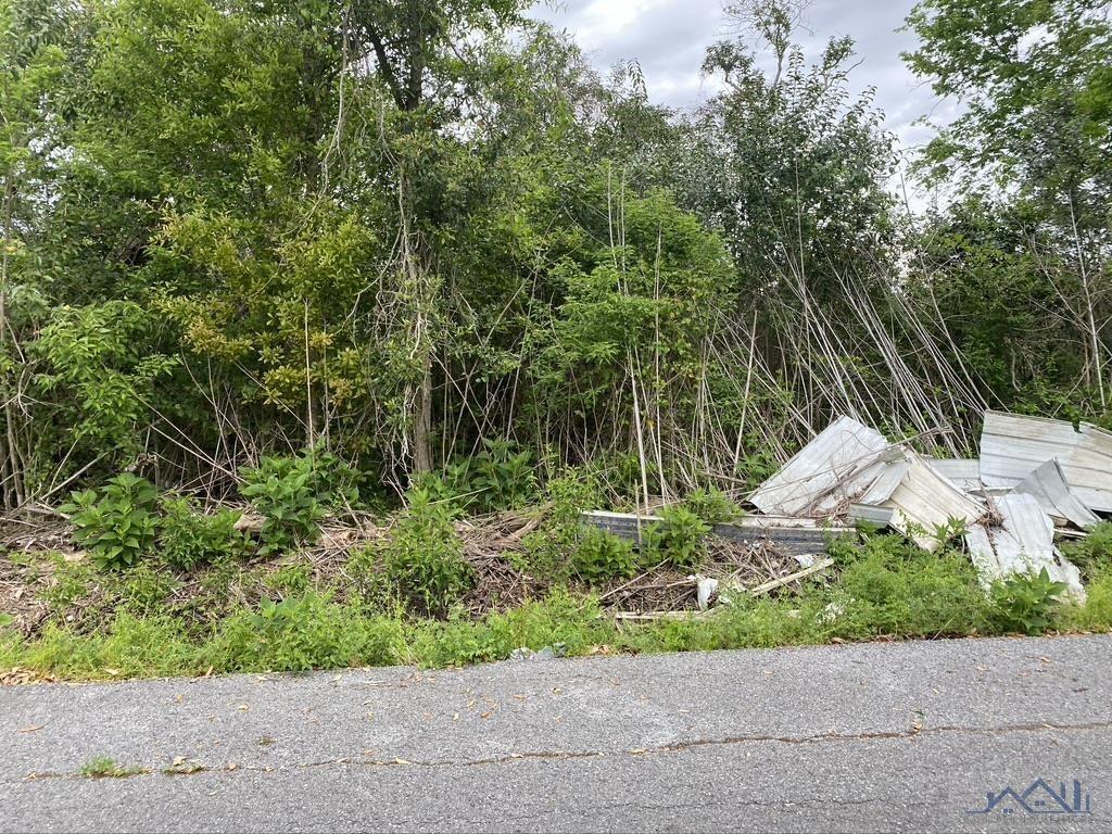 Property Image for Lot 13 E 134th Street