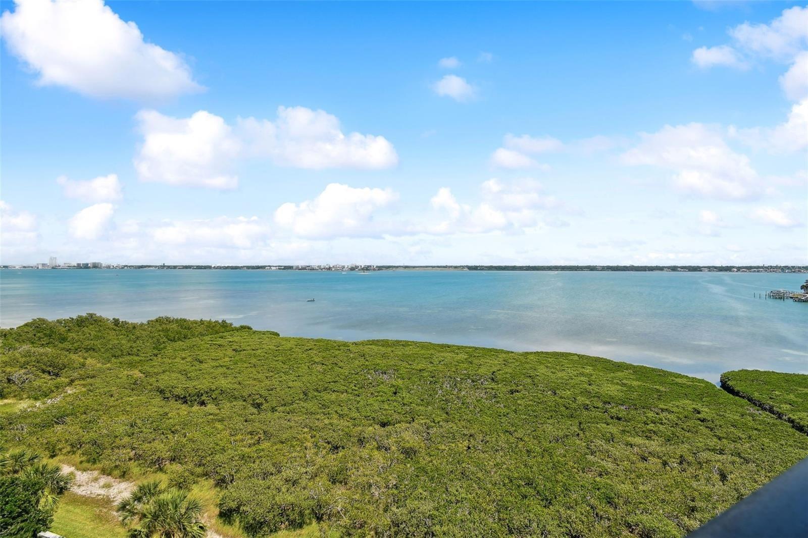 Property Image for 1501 Gulf Boulevard 606