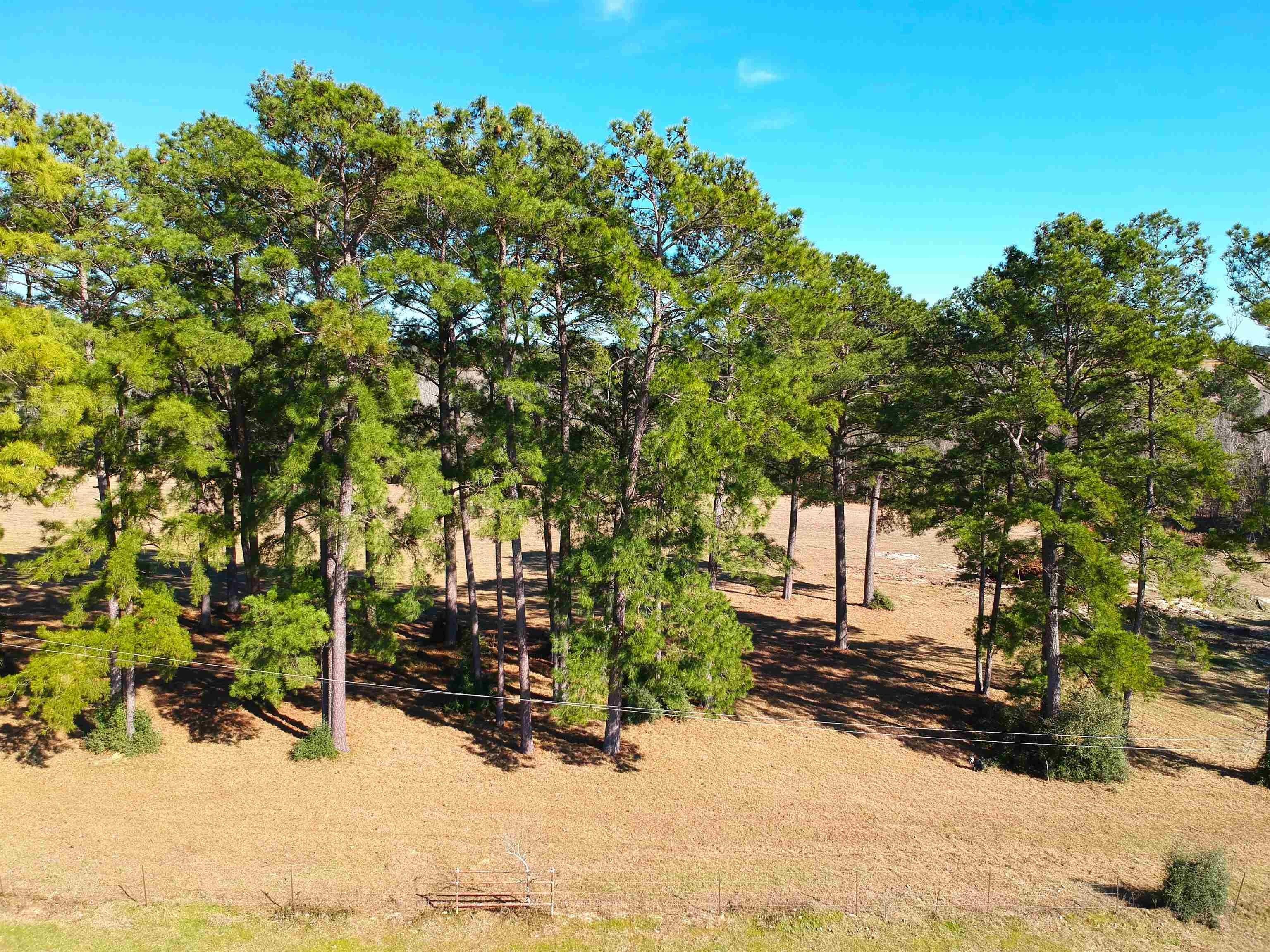 Property Image for TBD Lakeland Ranch Lot 378