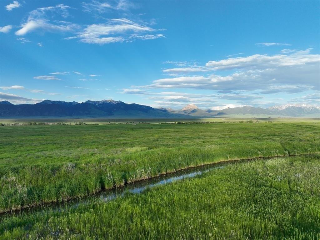 print property image