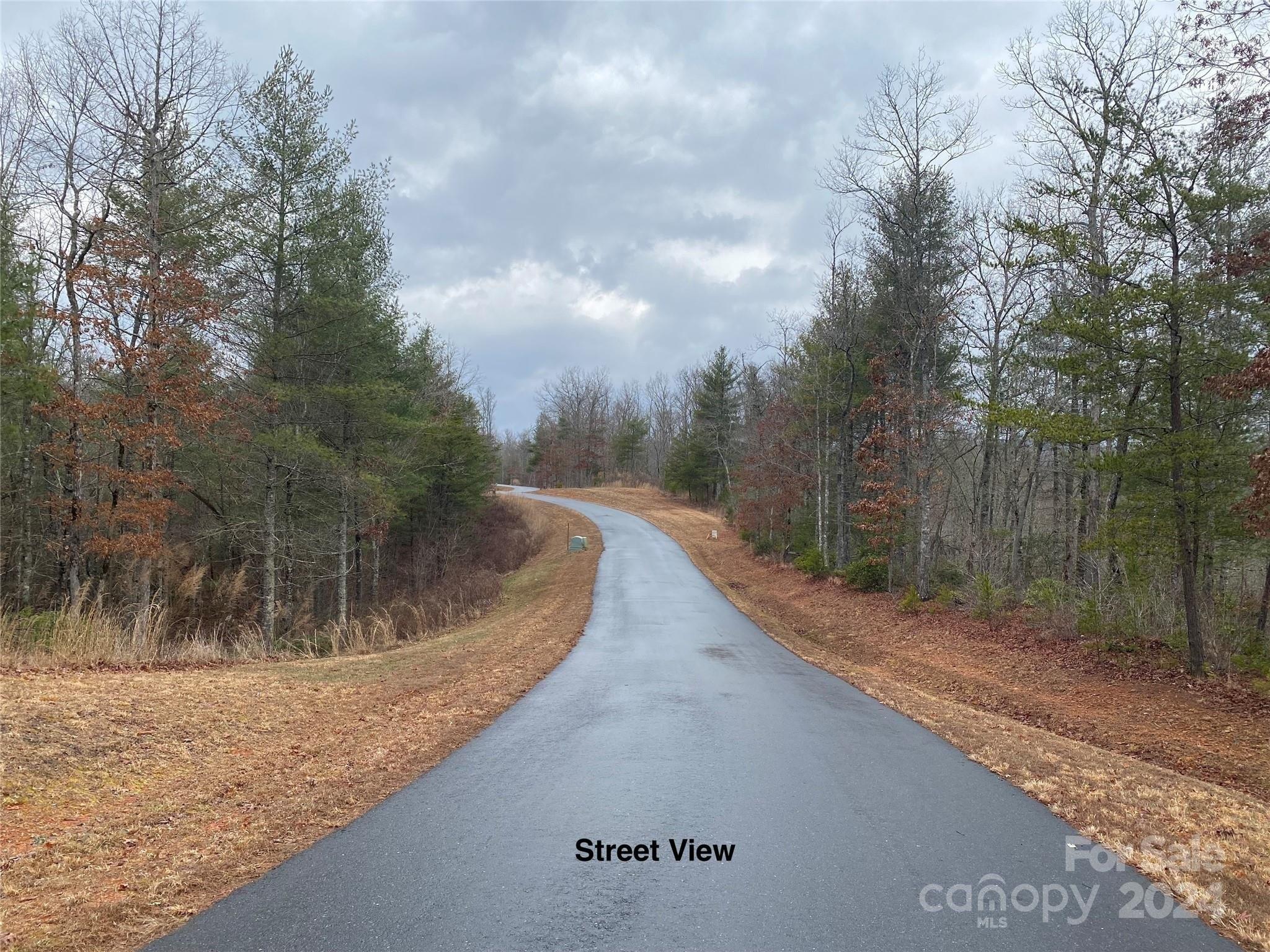 Property Image for Lot 95 River Mountain Road