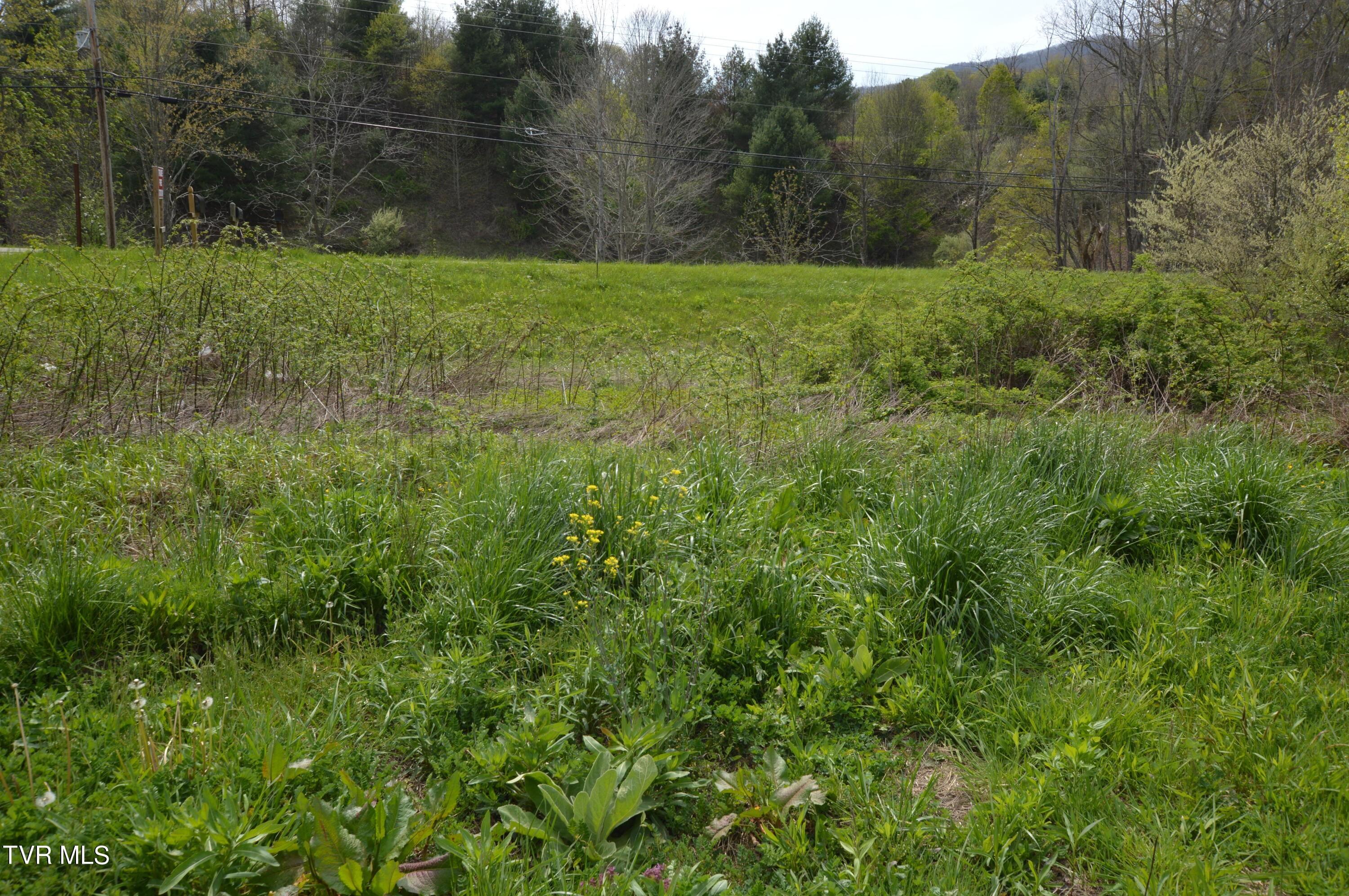 Property Image for Lot 1 Highway 421