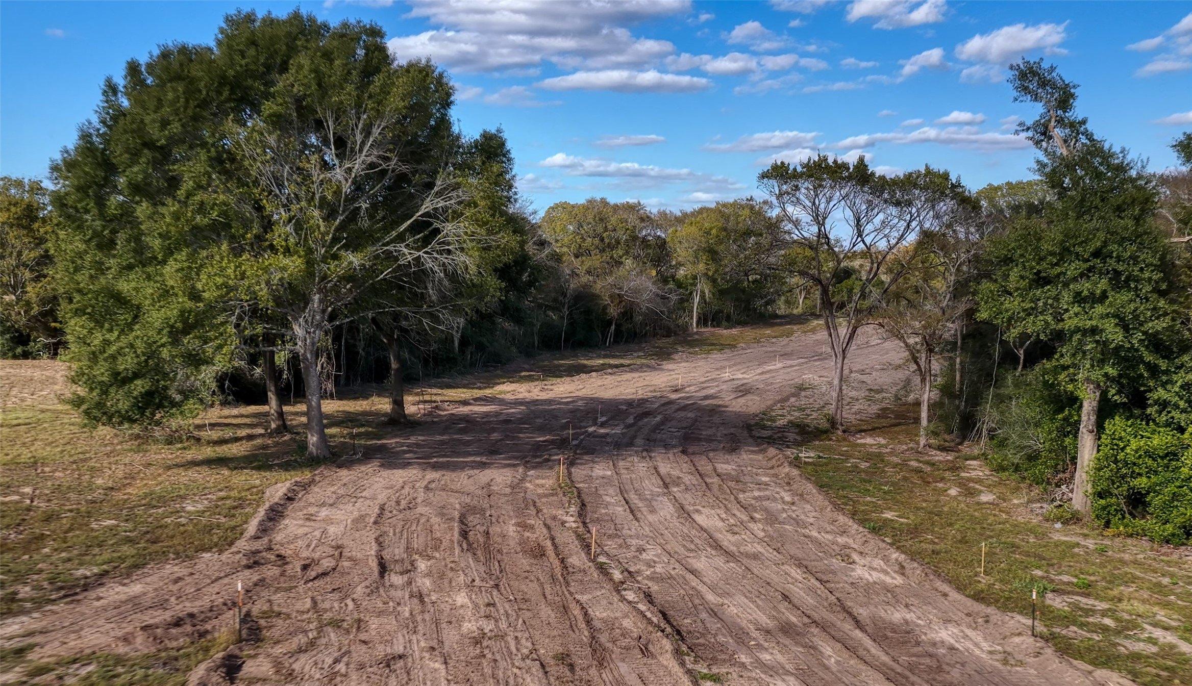 print property image