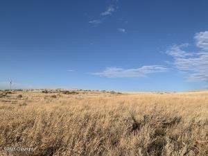print property image