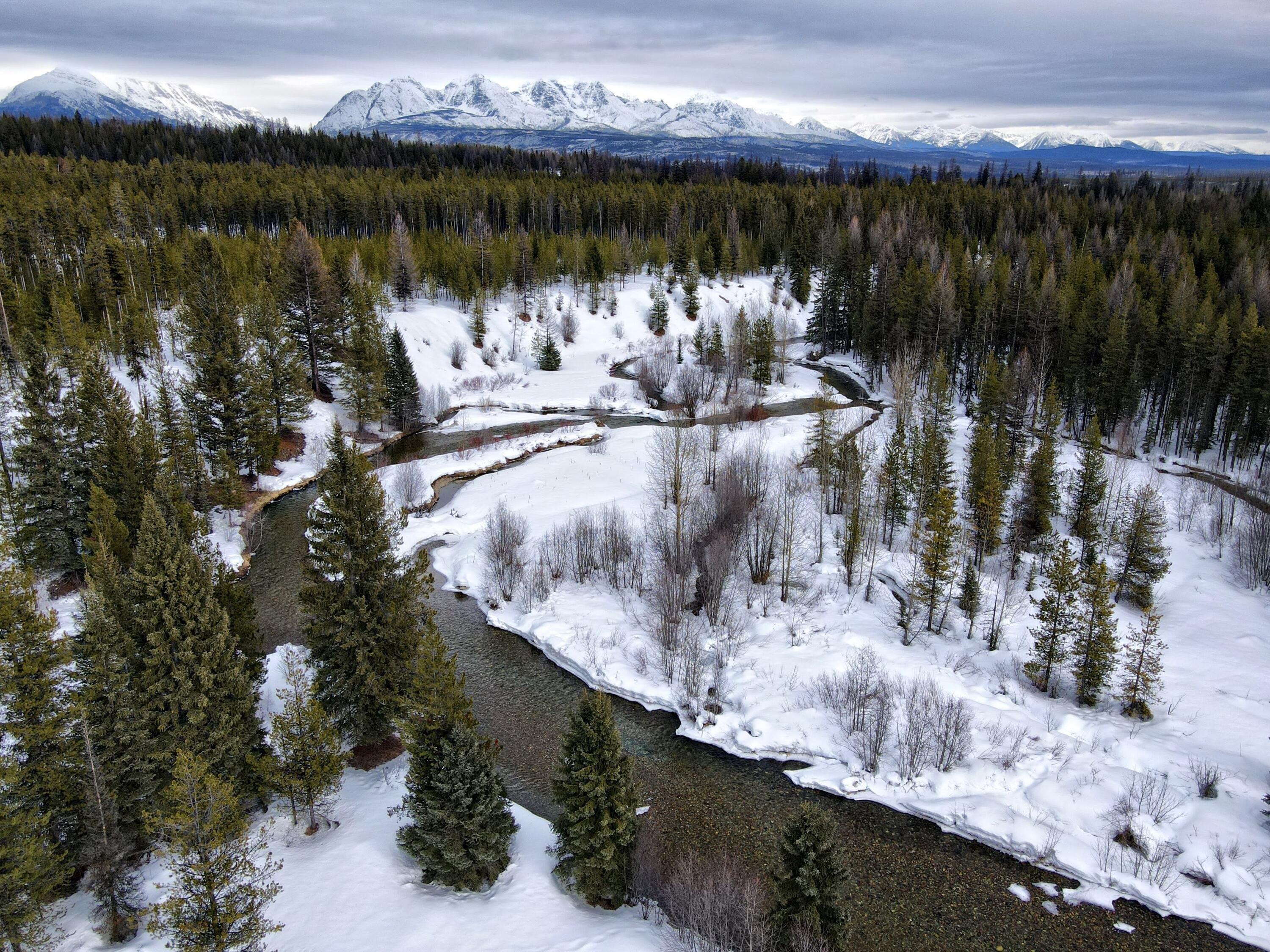 print property image