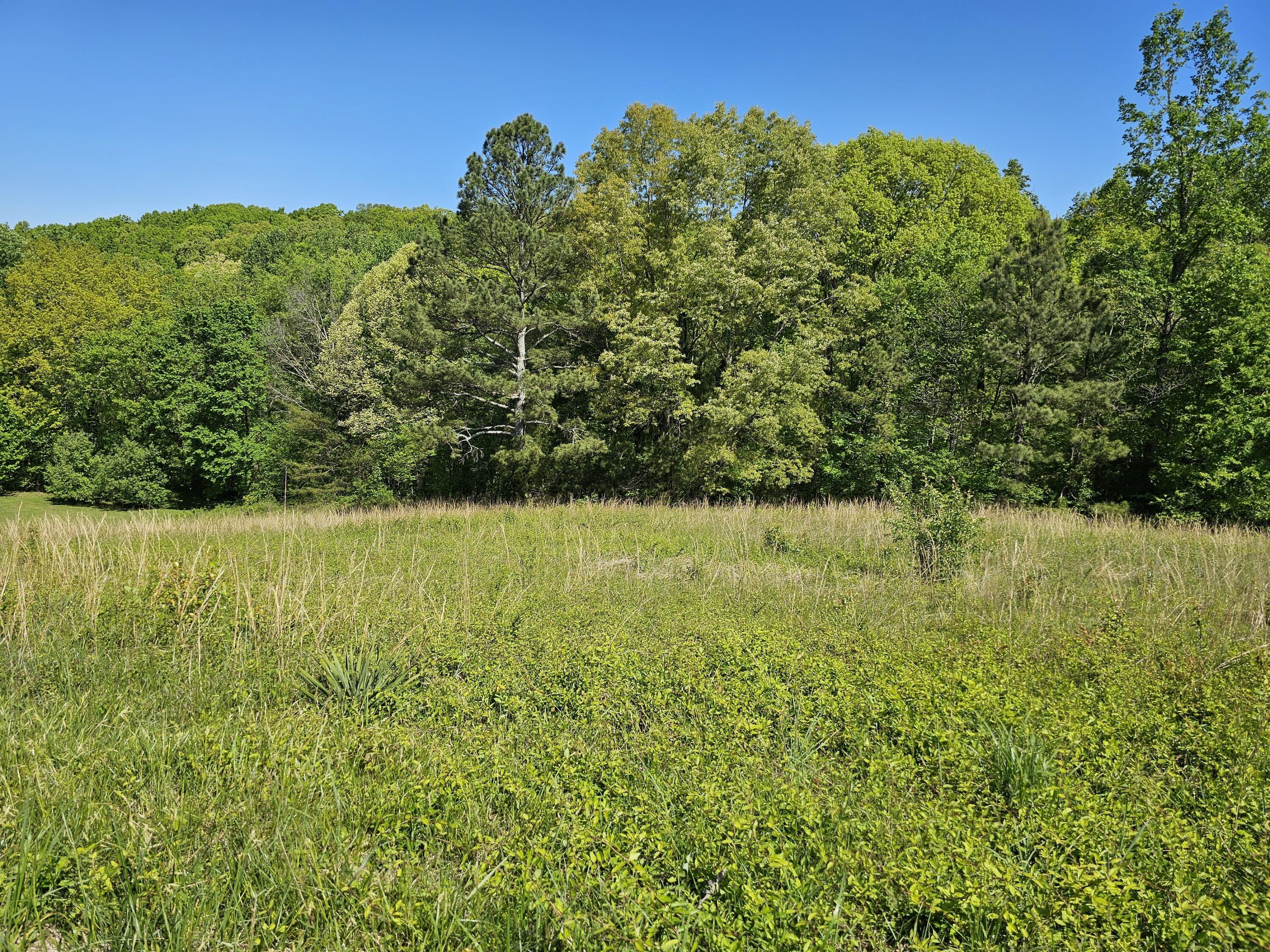 Property Image for 0 County Road 321 Lot 6