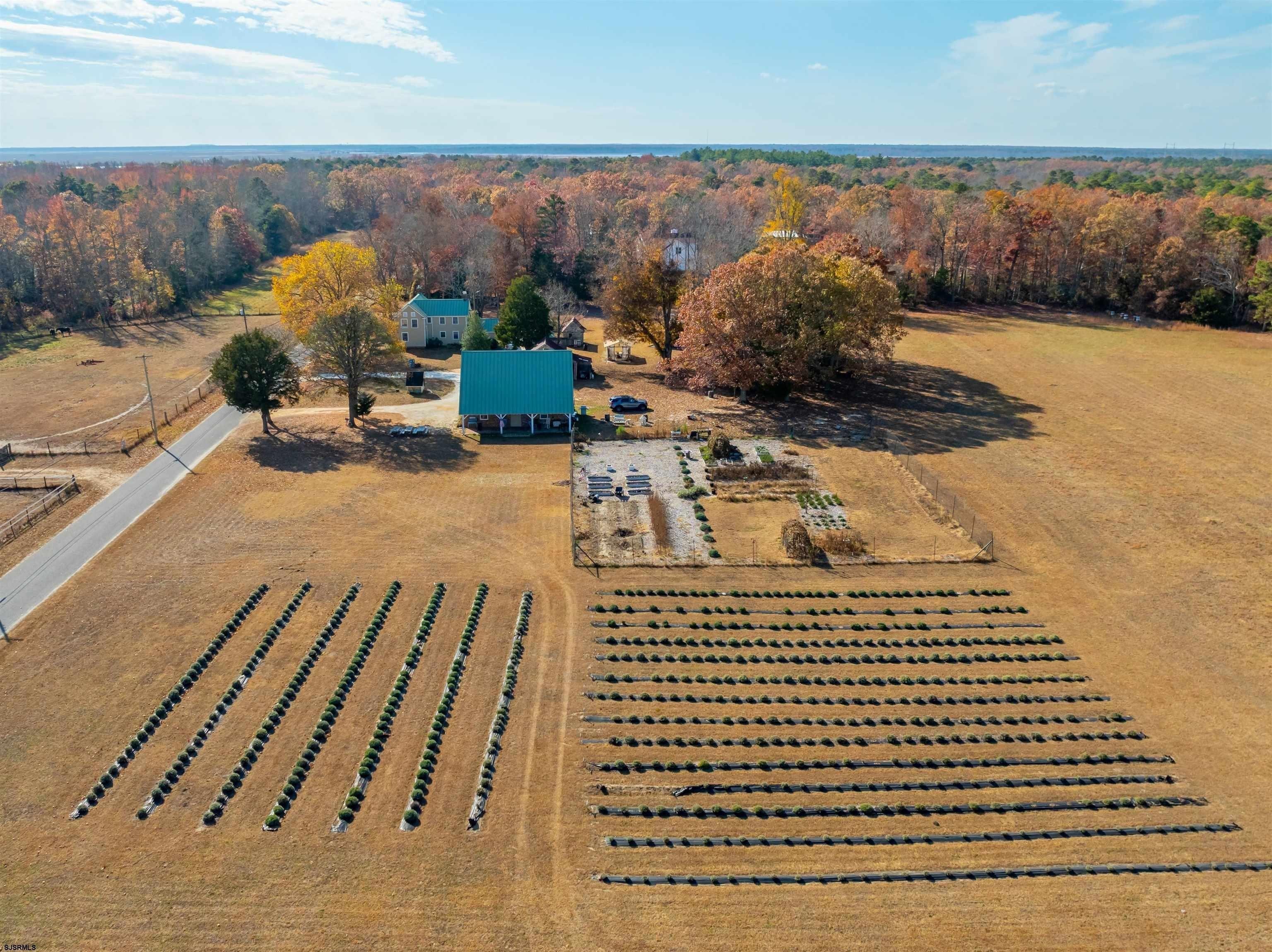 Property Image for 105 Thompson Ln