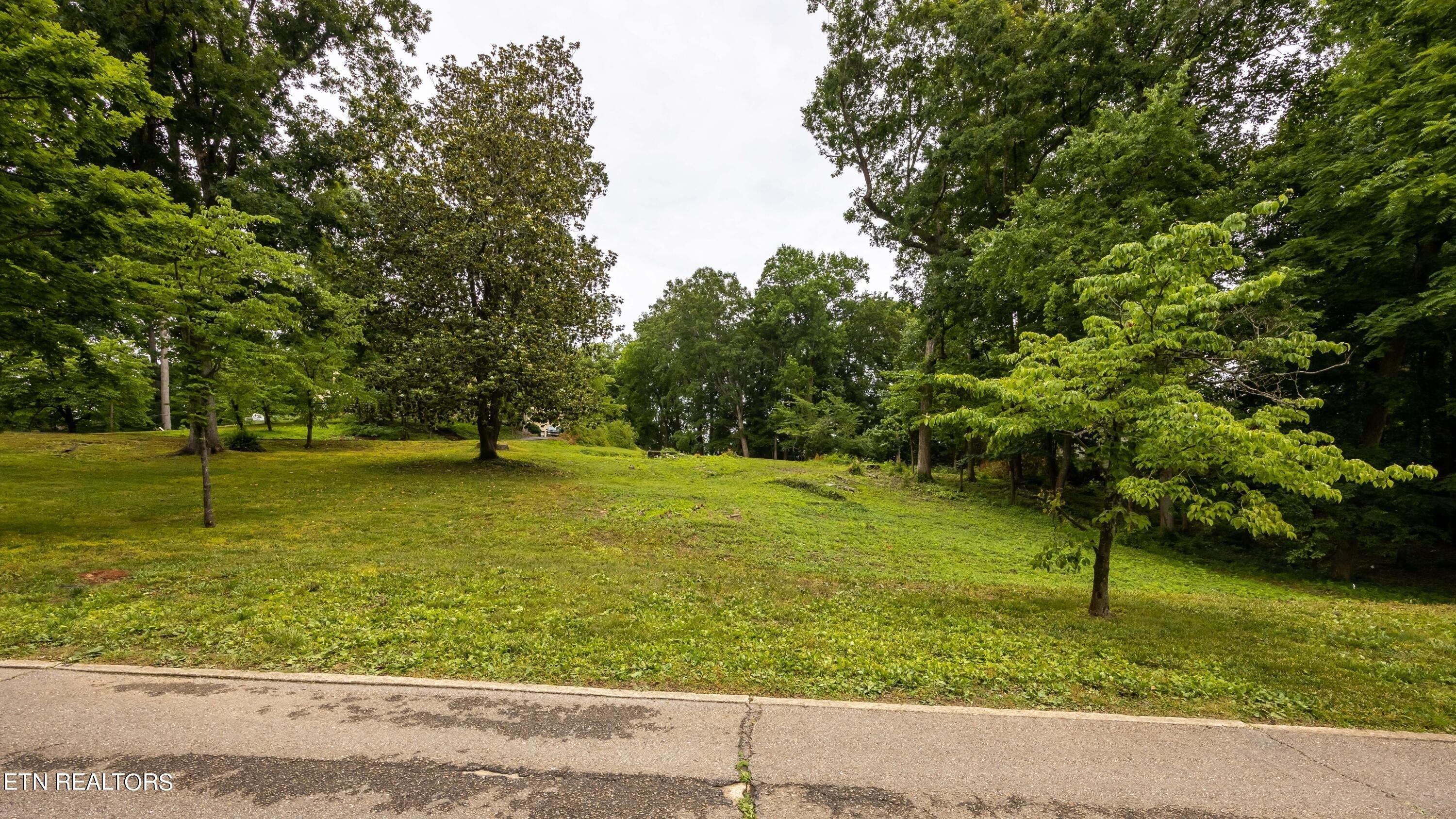 Property Image for 0 Keowee Ave