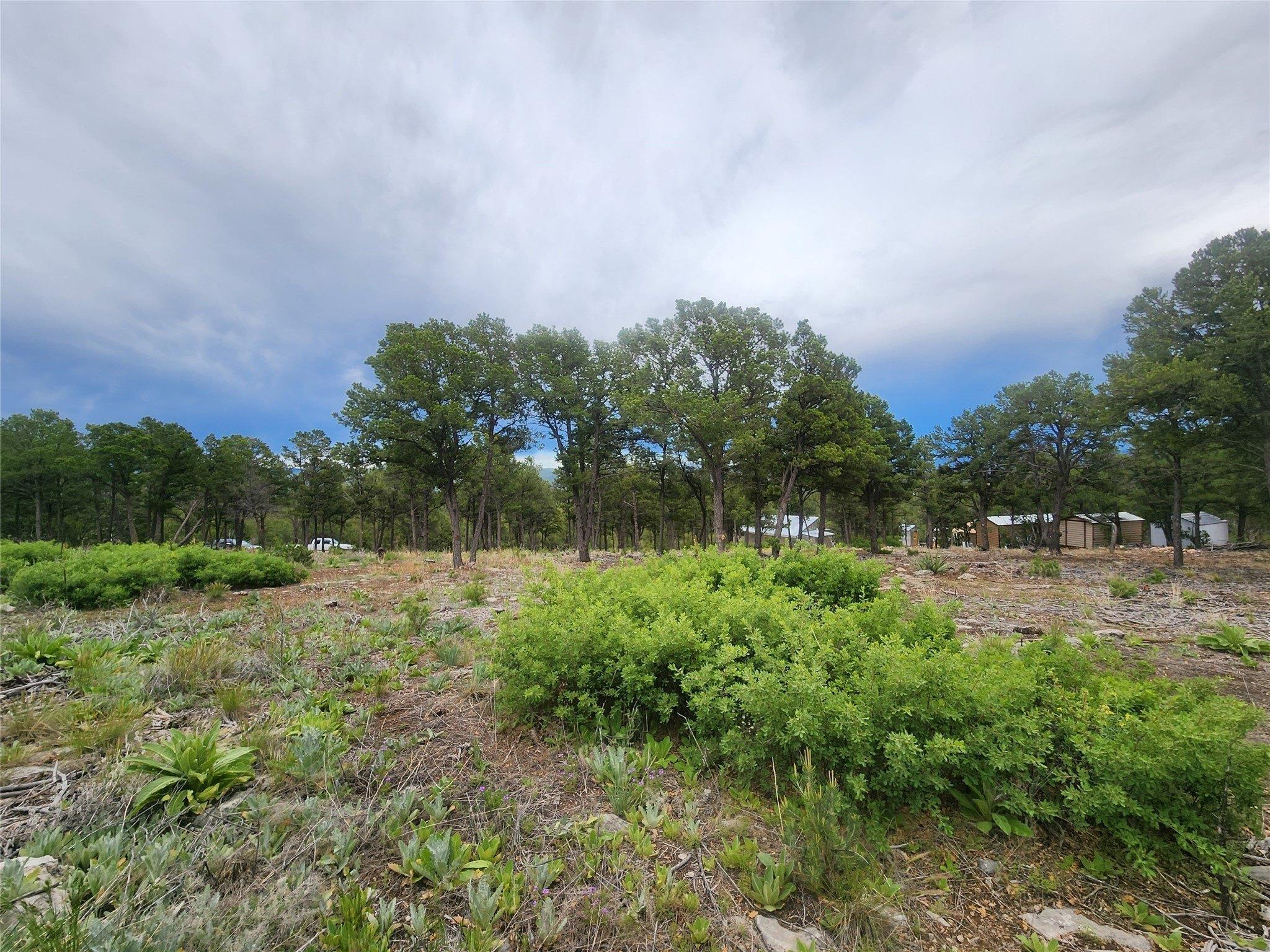 Pecos Real Estate Find Houses & Homes for Sale in Pecos, NM