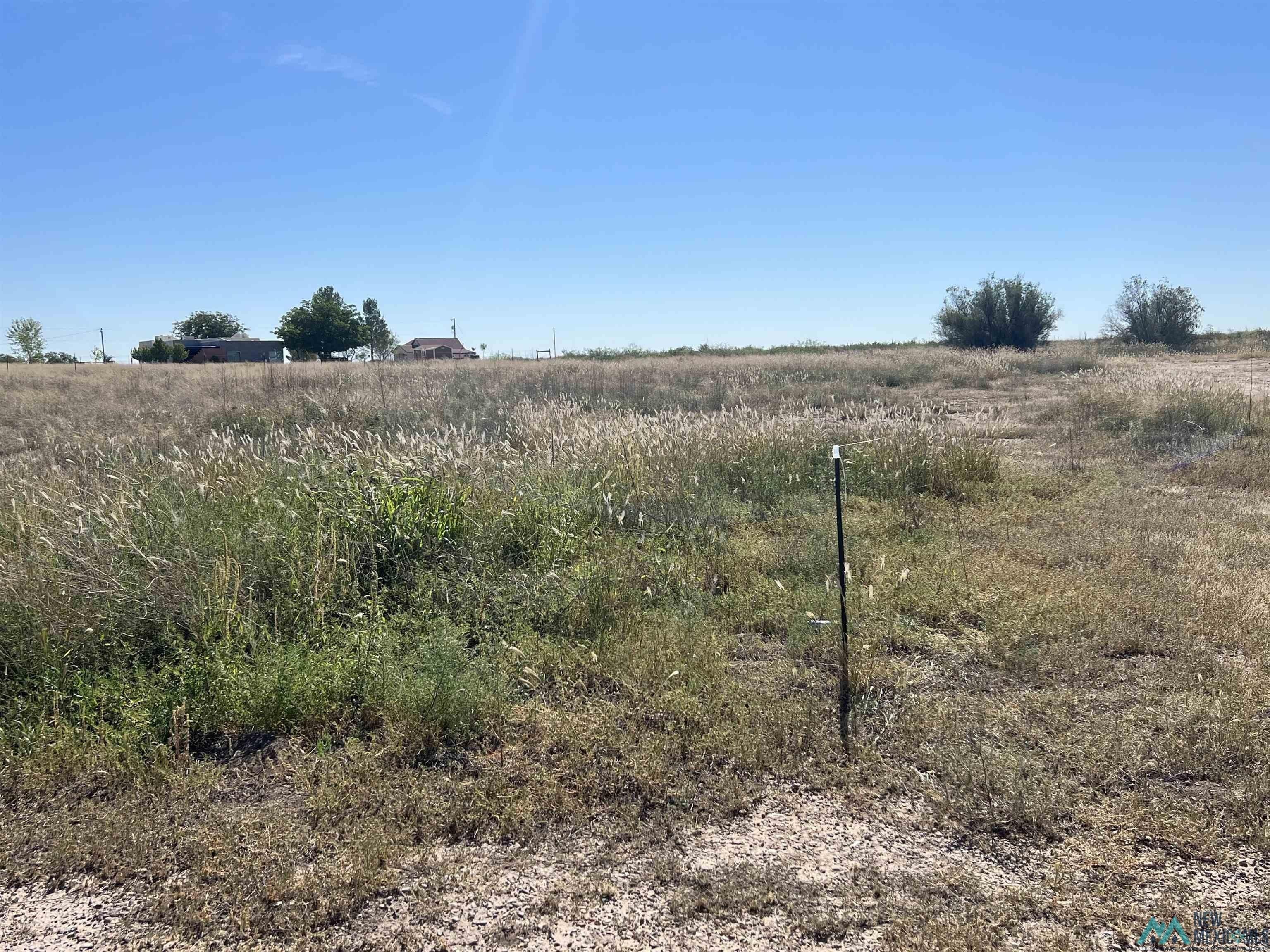 print property image