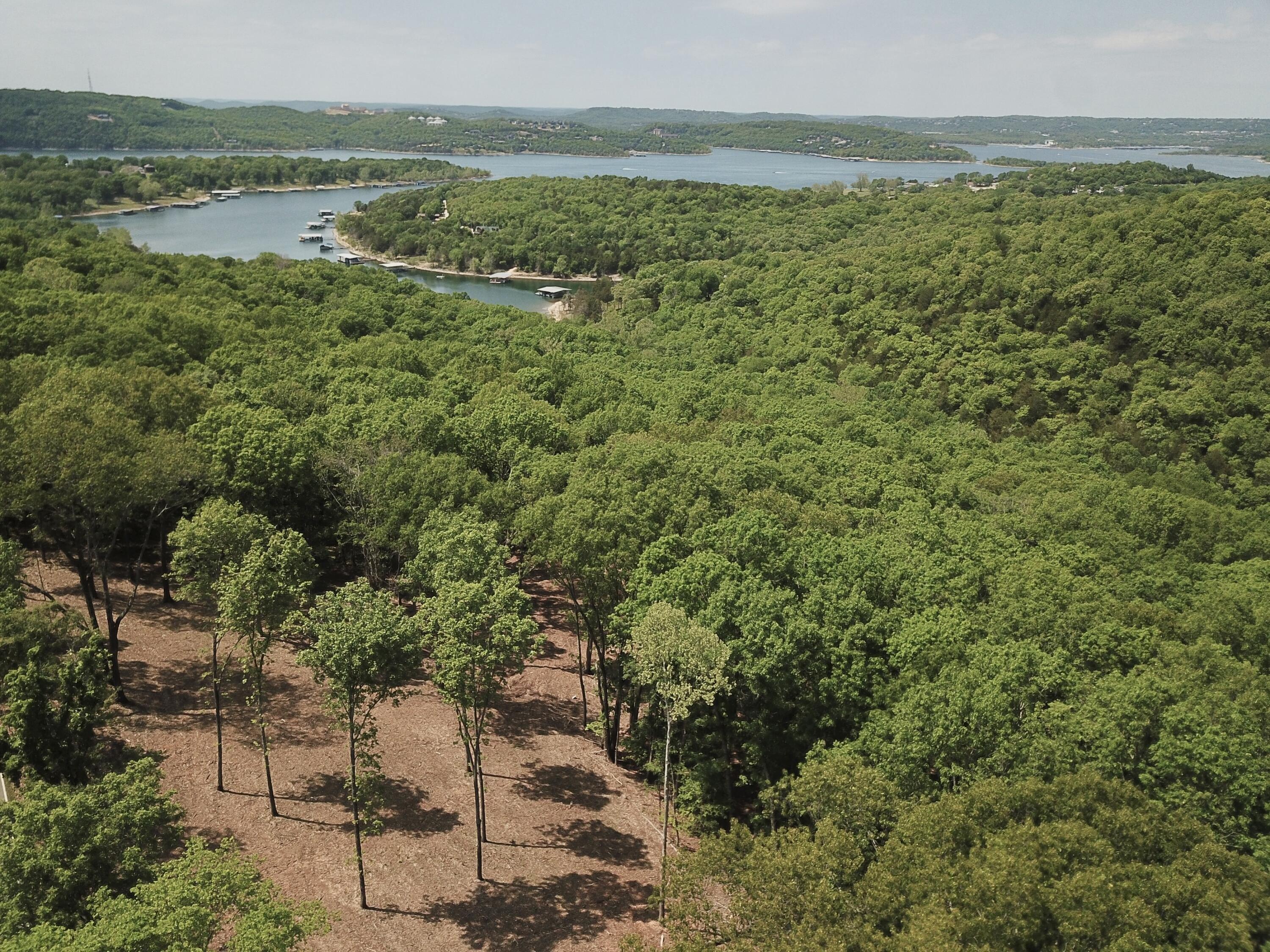 00 Highway Dd, Branson West, MO 65737 MLS 60242371 CENTURY 21