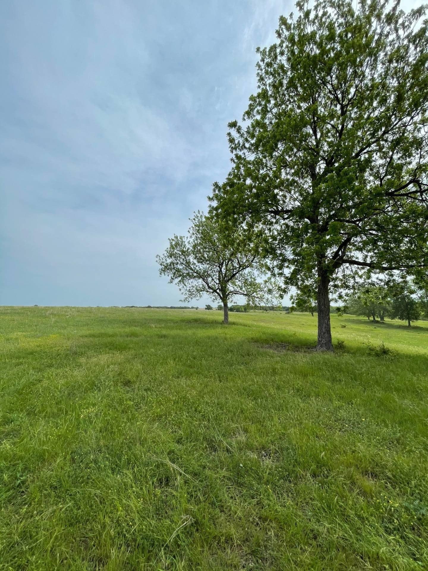 print property image