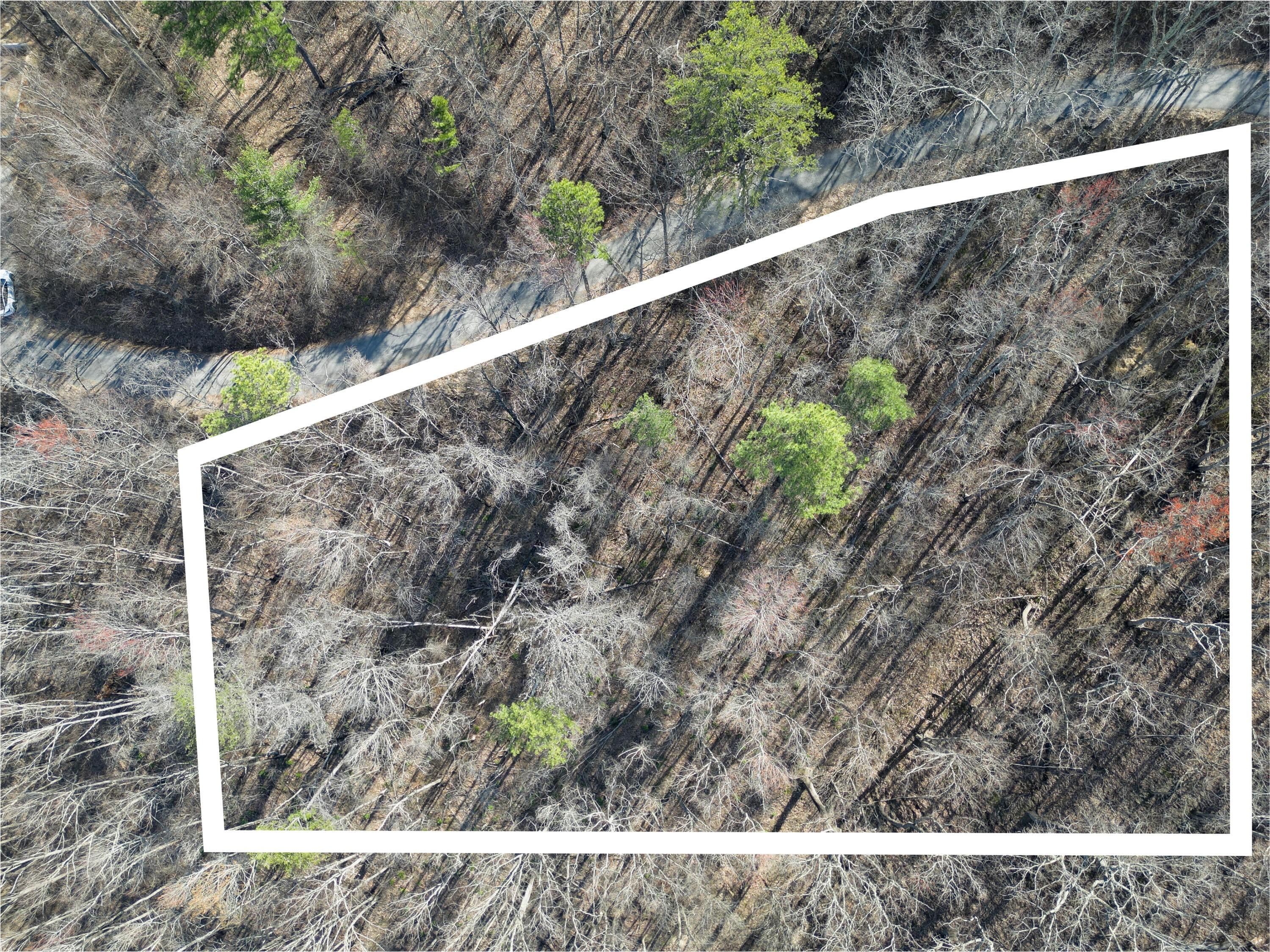 Property Image for Lot 6 Emerald Springs Loop