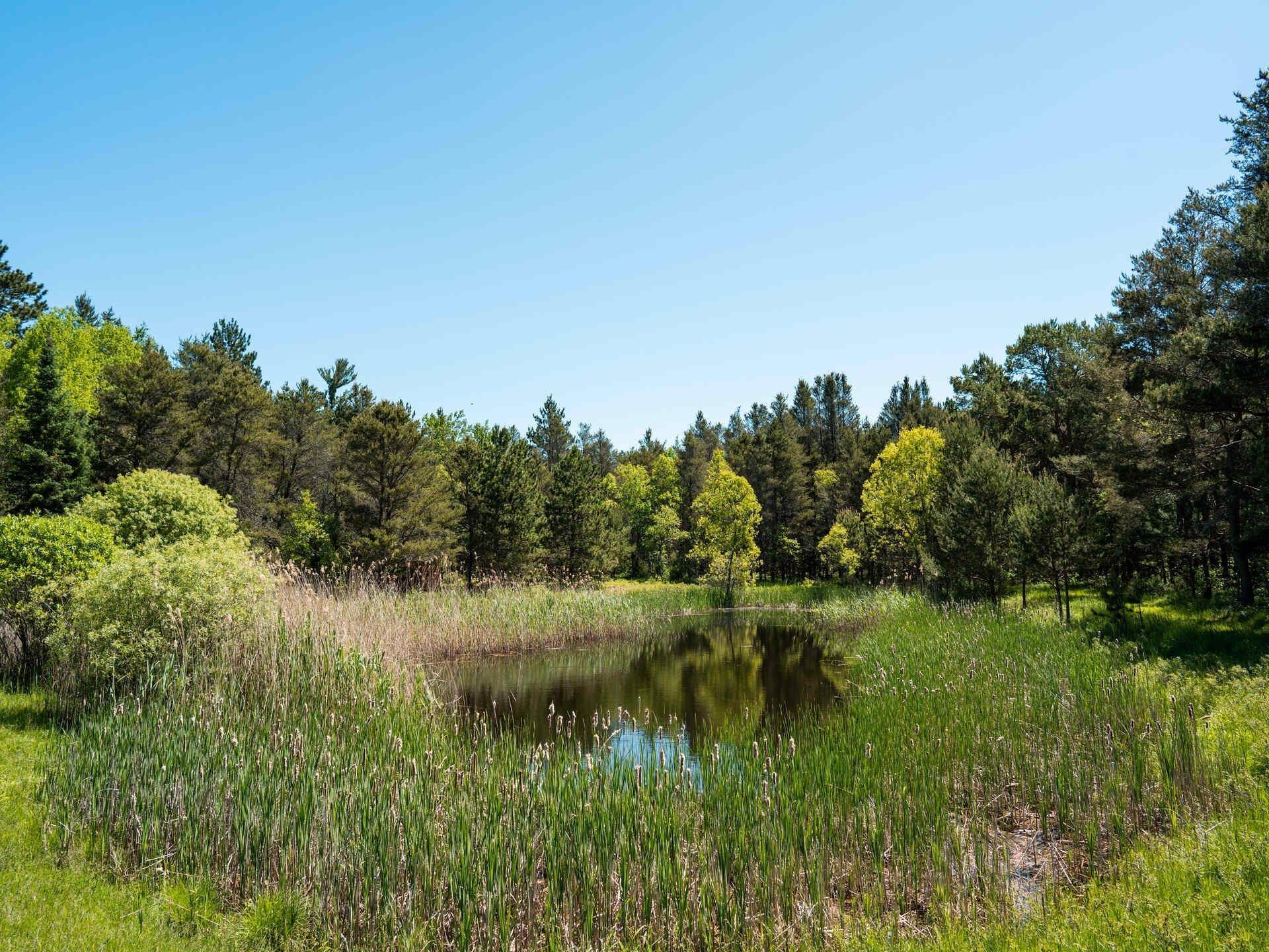 Grayling Real Estate Find Houses & Homes for Sale in Grayling, MI