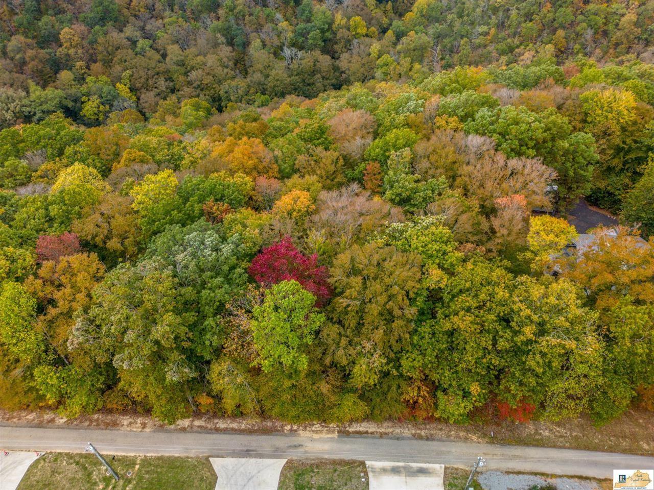 Property Image for Lot 26 Peachtree Lane