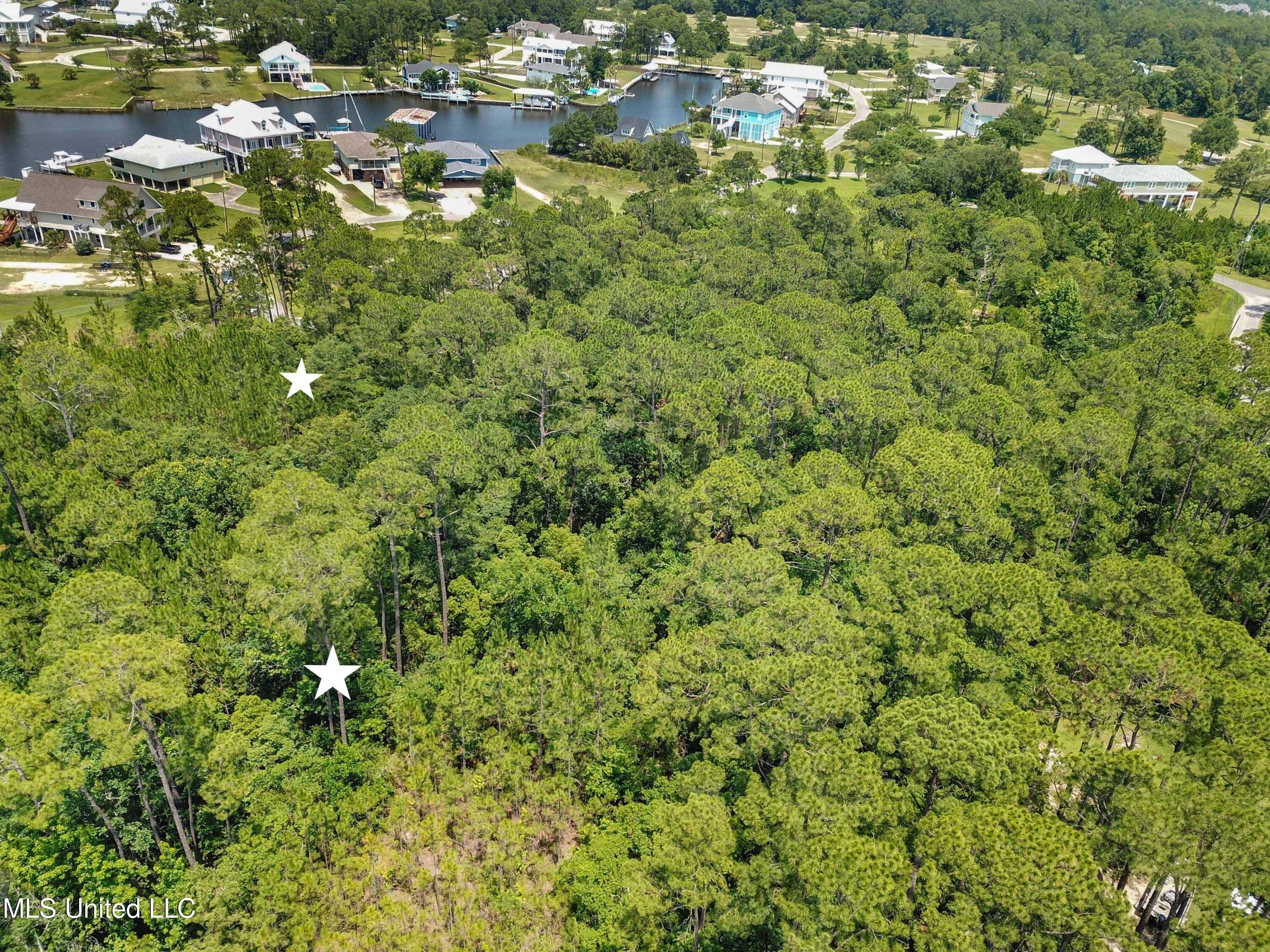 print property image