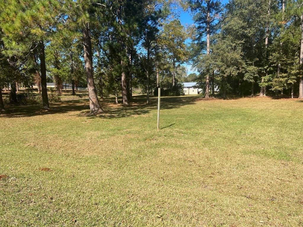 Property Image for 0 Hwy 82