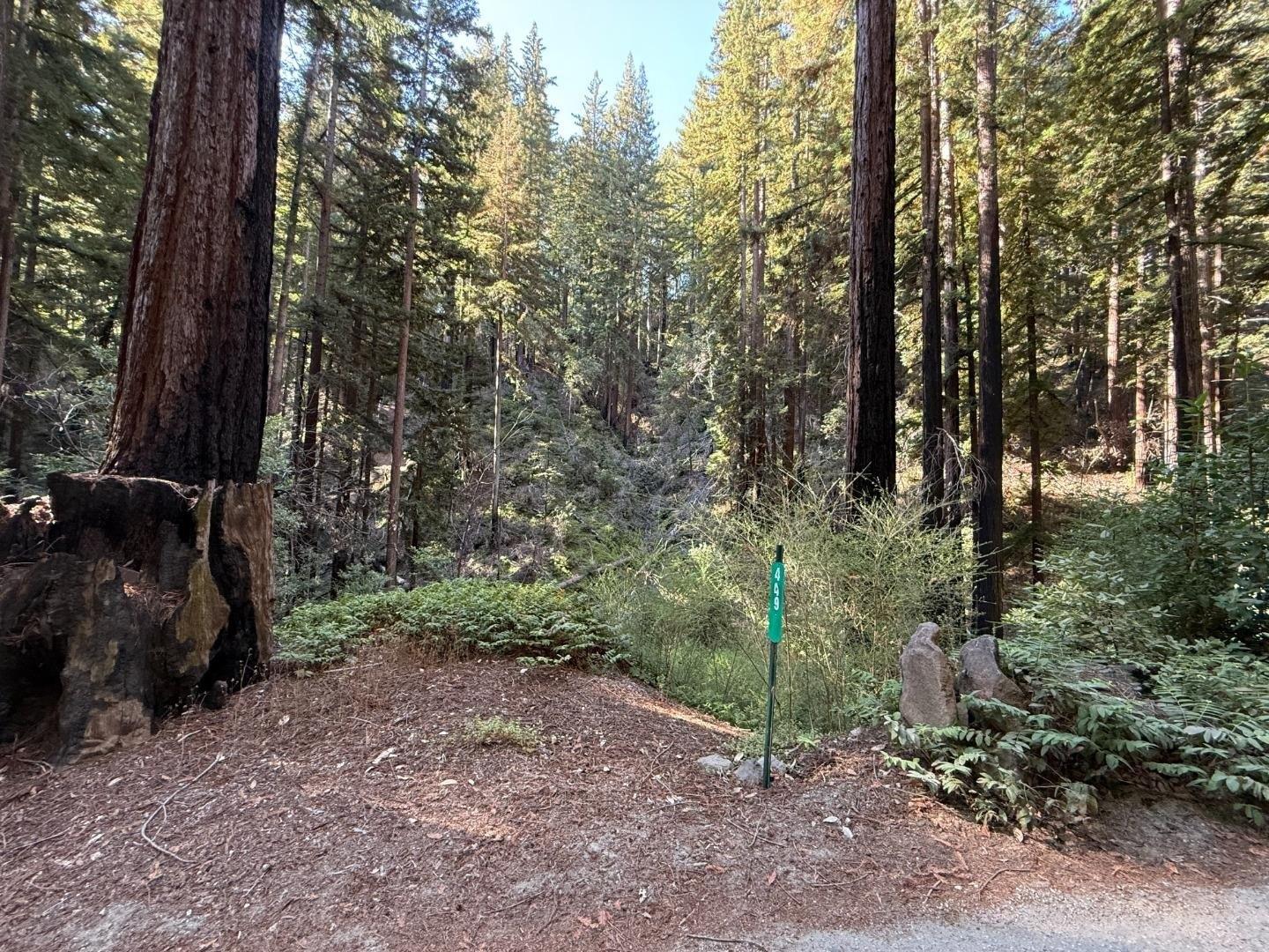 print property image