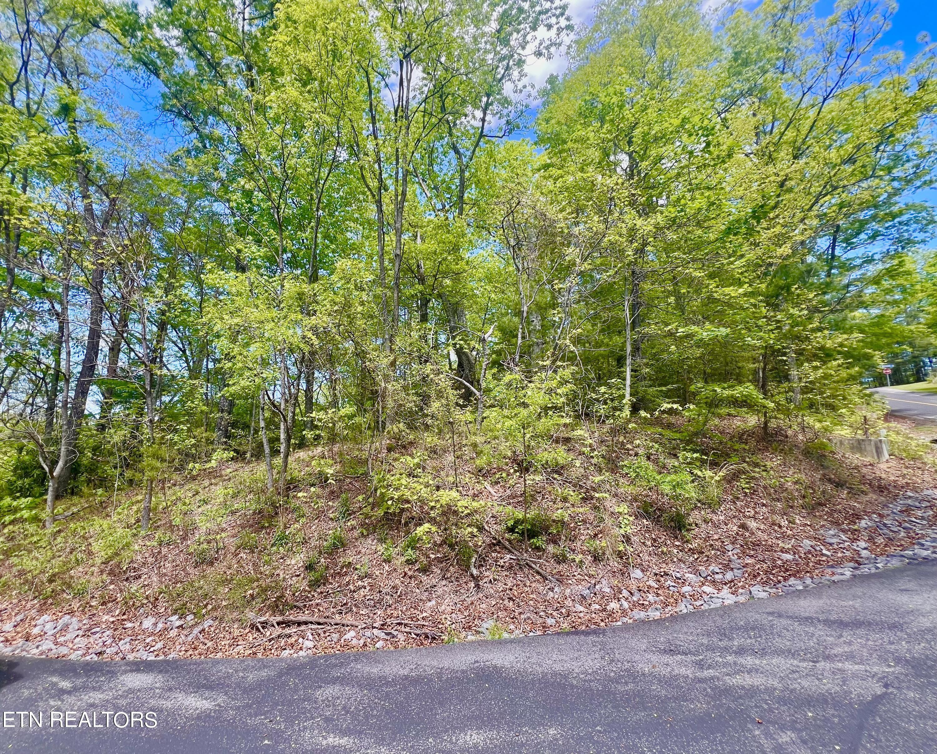 Property Image for Lot 115 Whetstone Rd